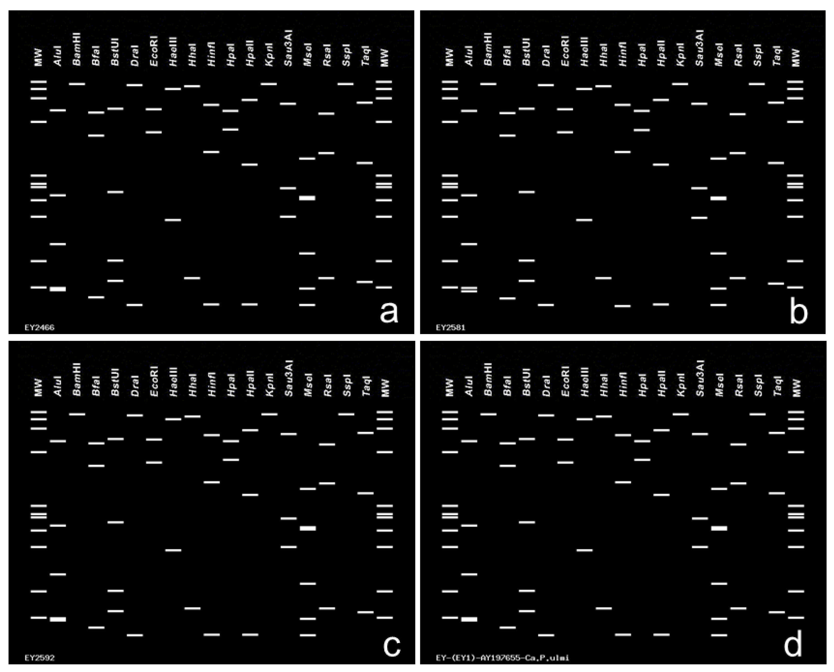 Forests 15 02067 g005 Forests 15 02067 g005