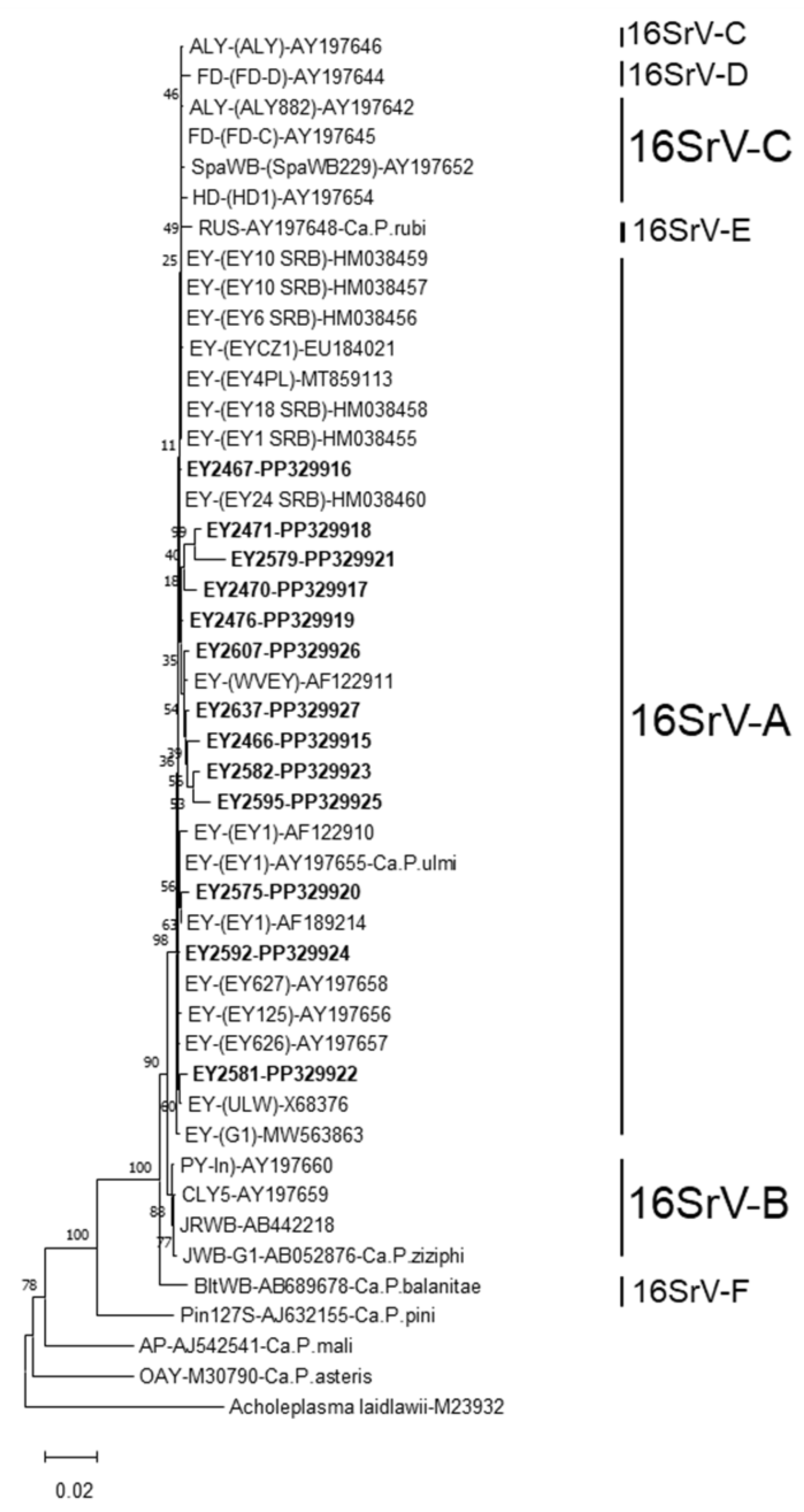 Forests 15 02067 g006 Forests 15 02067 g006