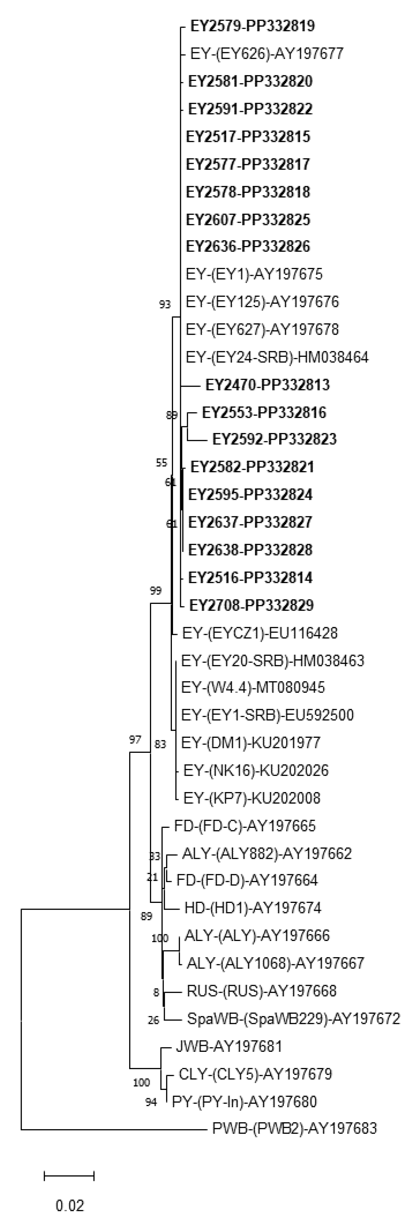 Forests 15 02067 g007 Forests 15 02067 g007