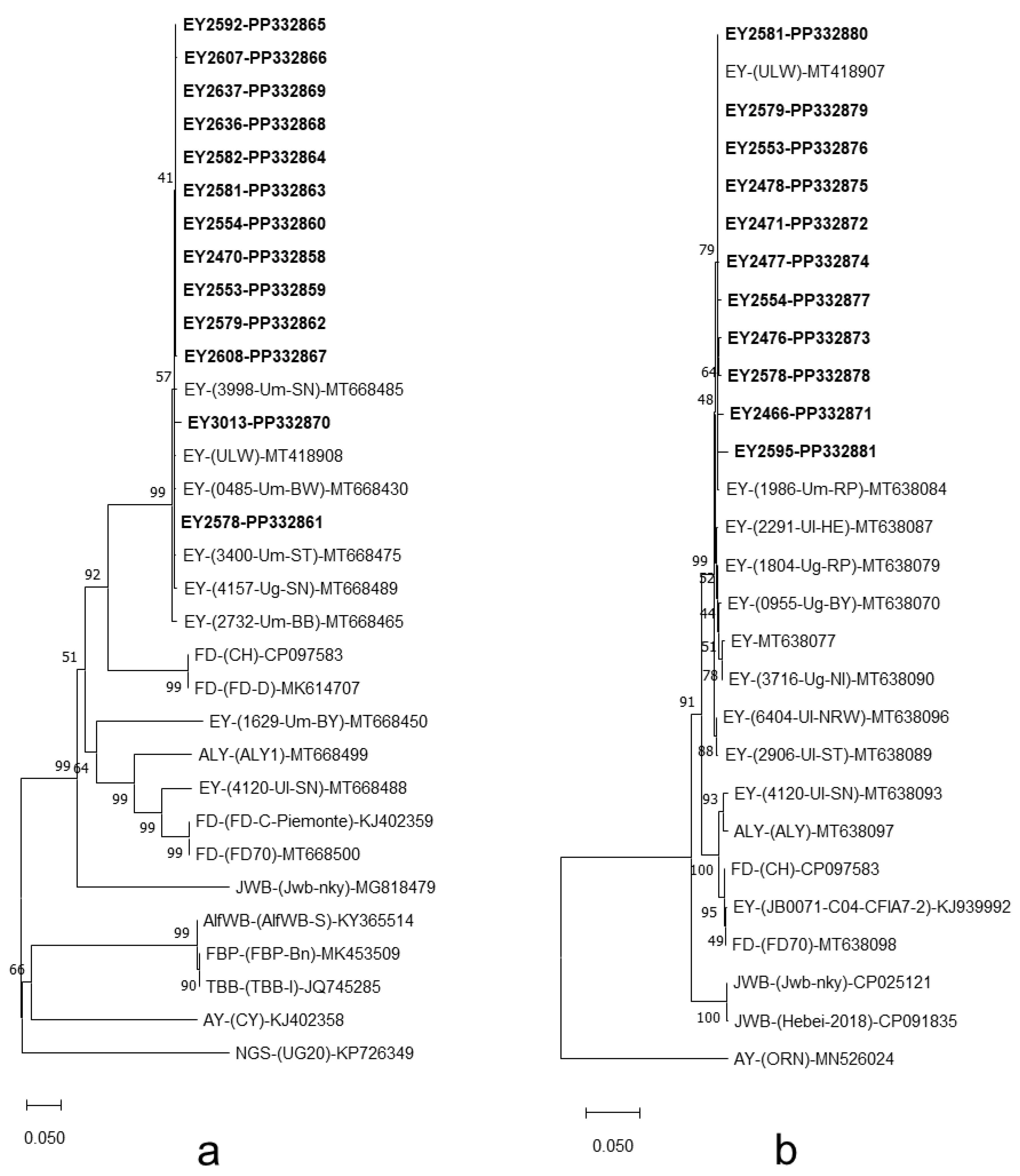 Forests 15 02067 g008 Forests 15 02067 g008