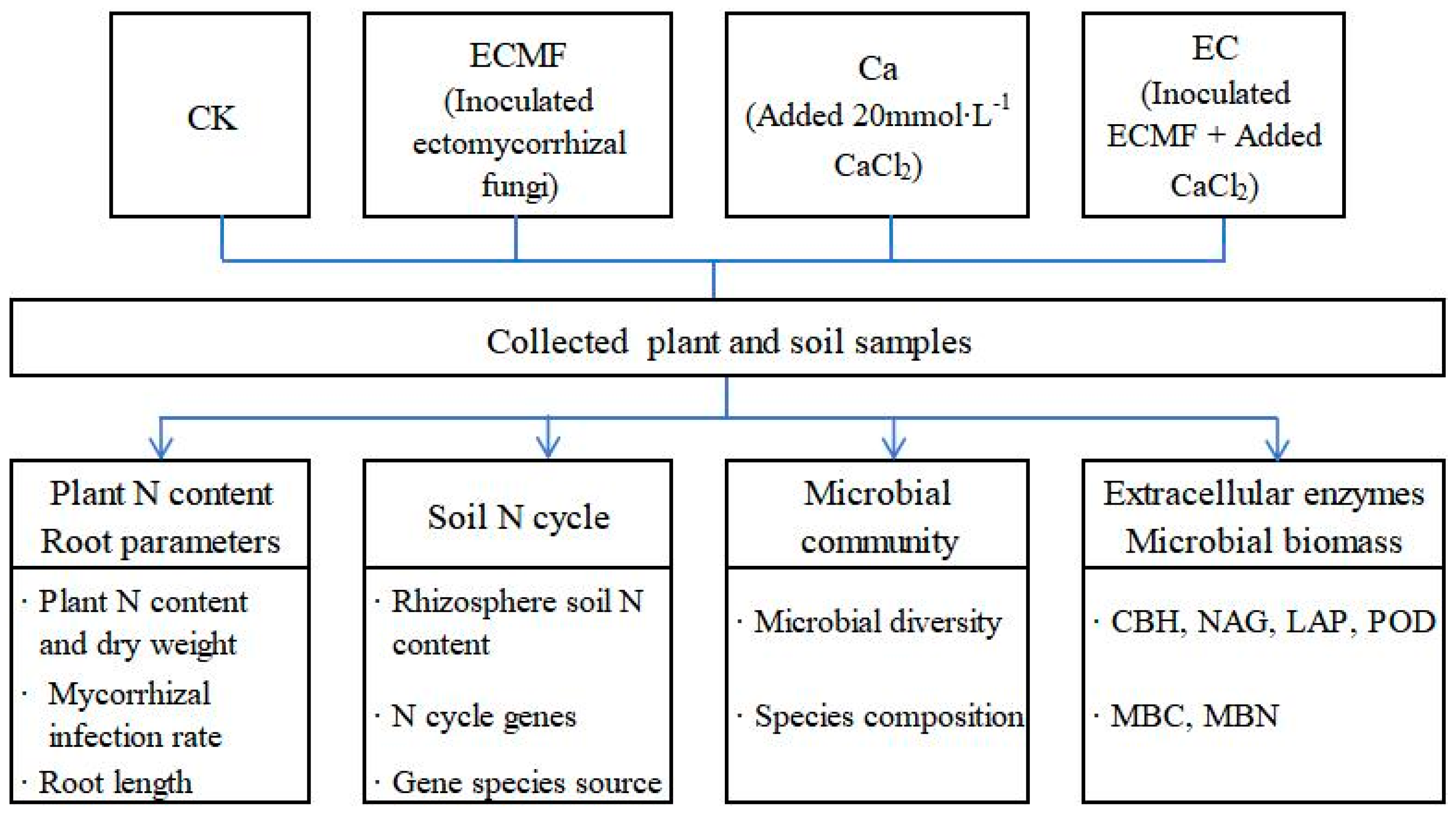 Forests 15 02068 g001