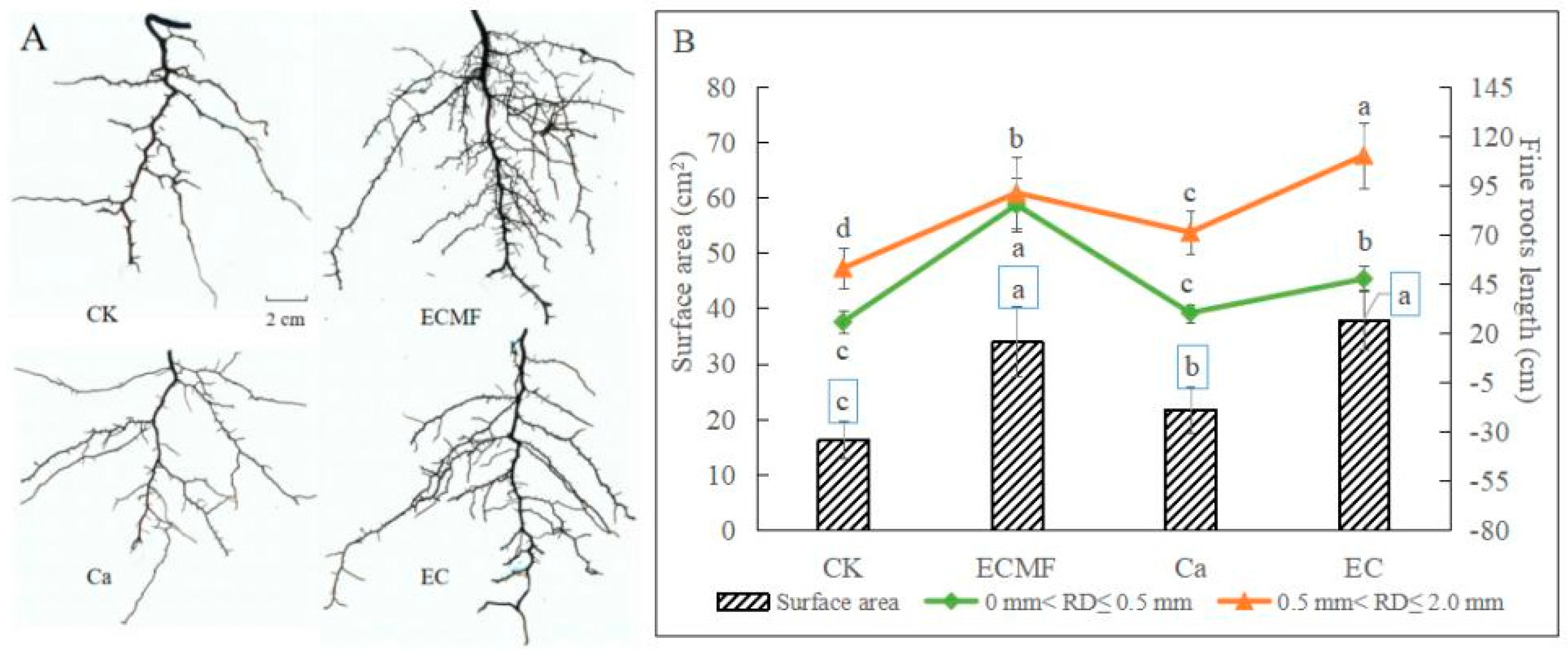 Forests 15 02068 g008