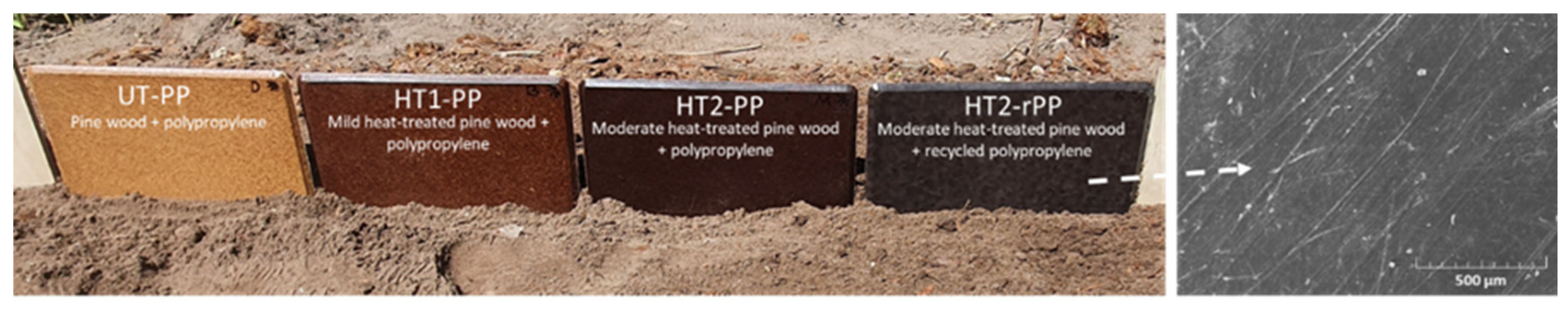 Forests 15 02102 g001