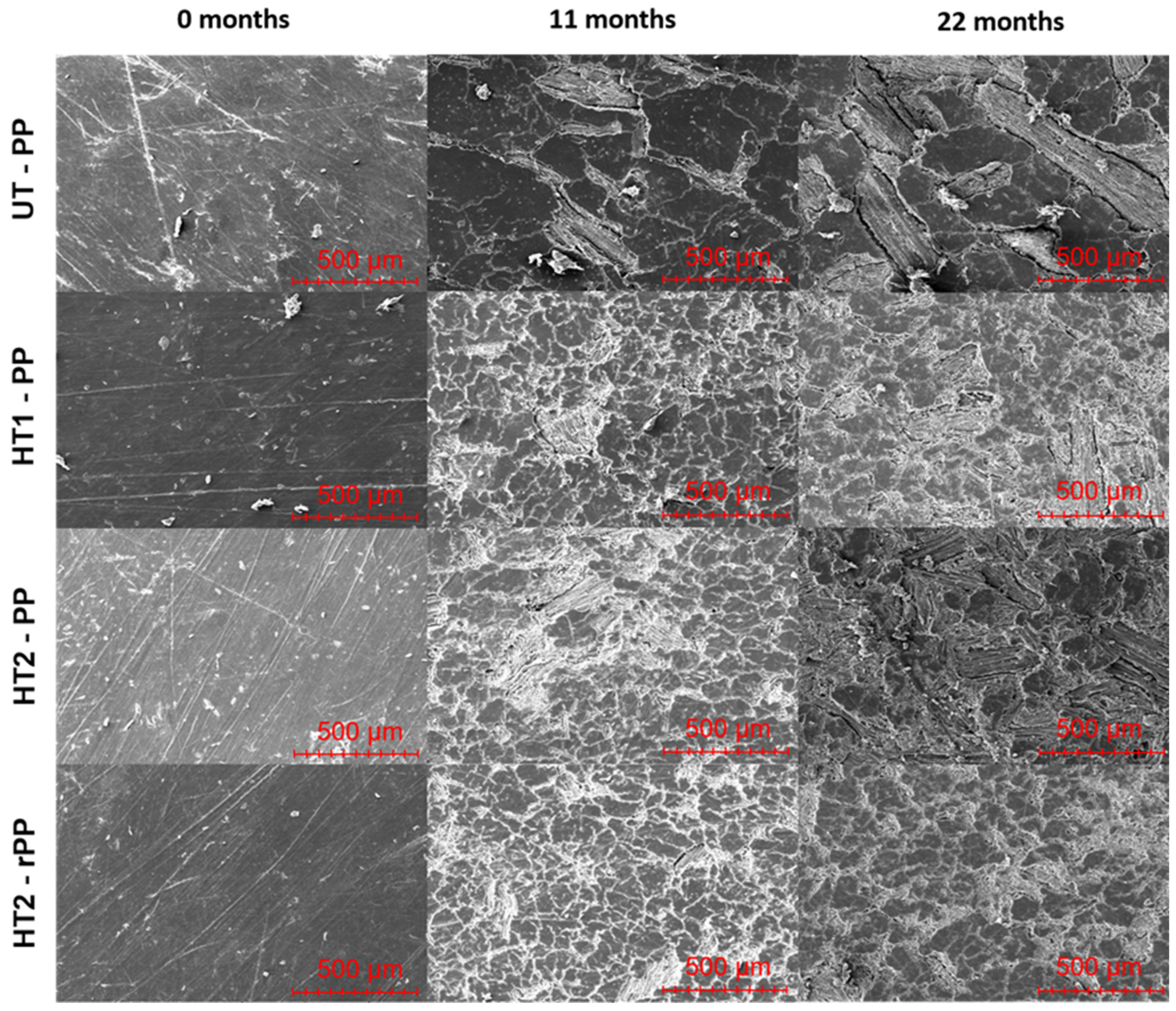 Forests 15 02102 g011