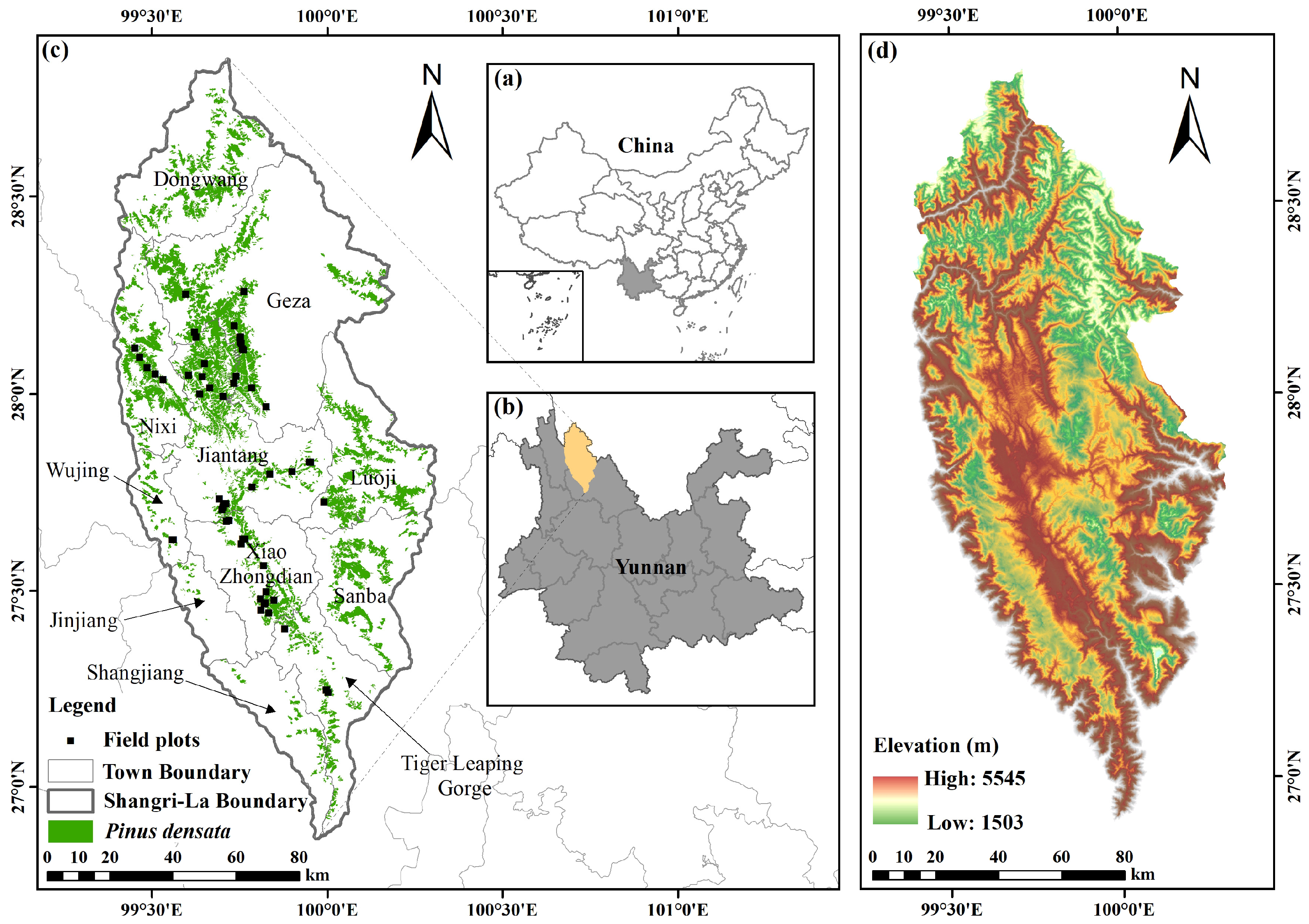 Forests 15 02134 g001