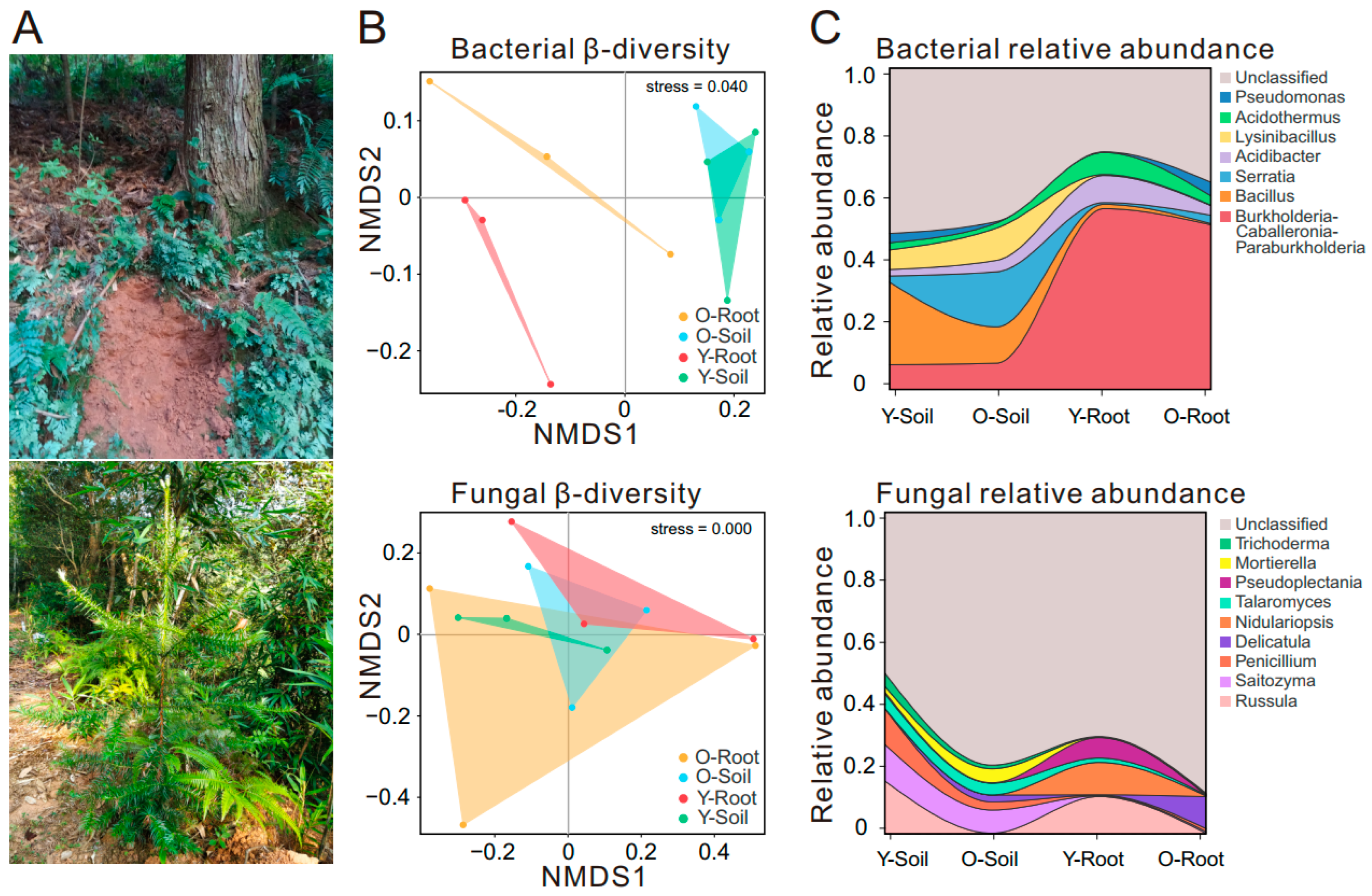 Forests 15 02140 g001