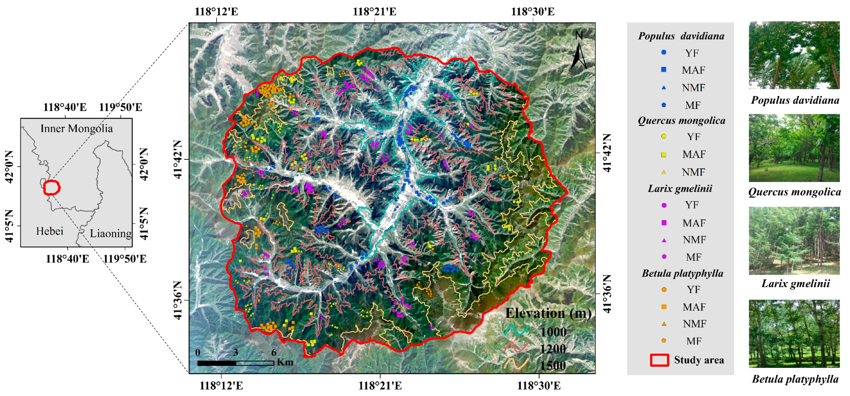 Forests 15 02150 g002