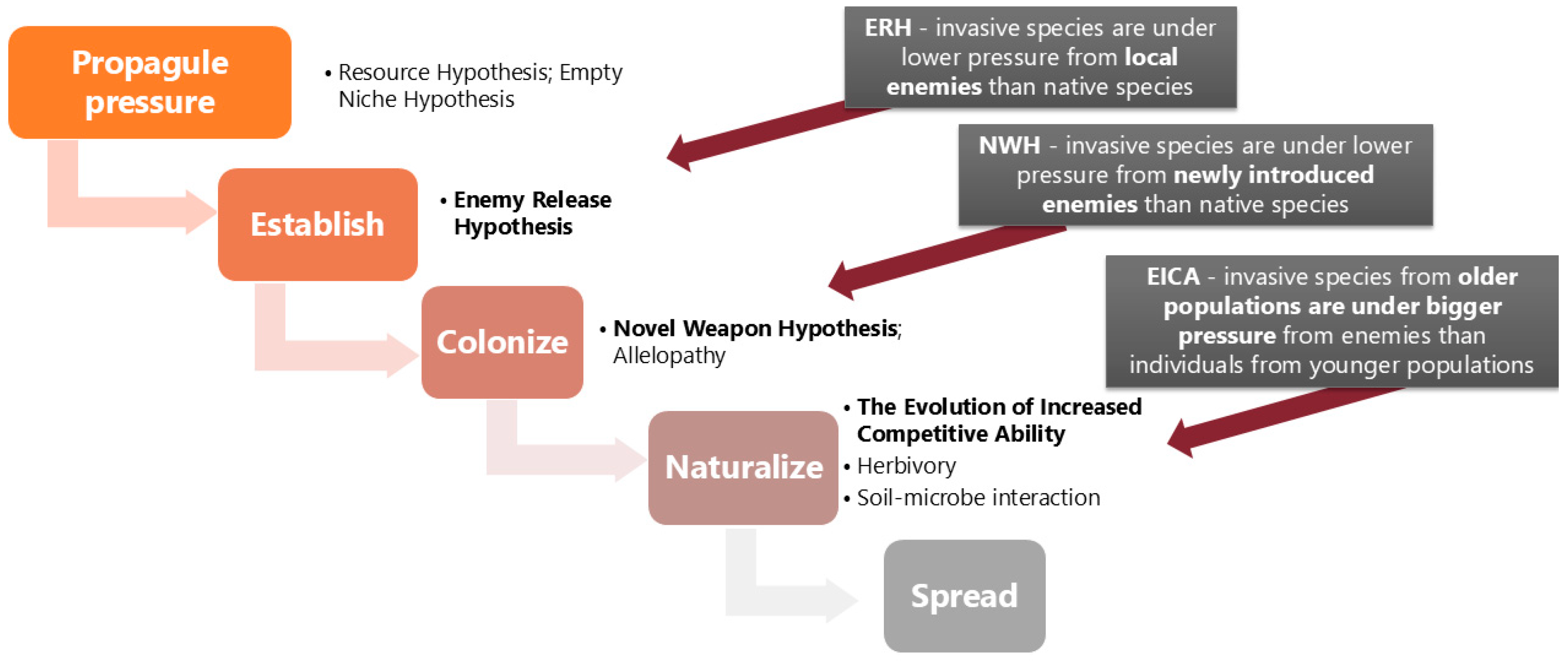 Forests 15 02214 g001