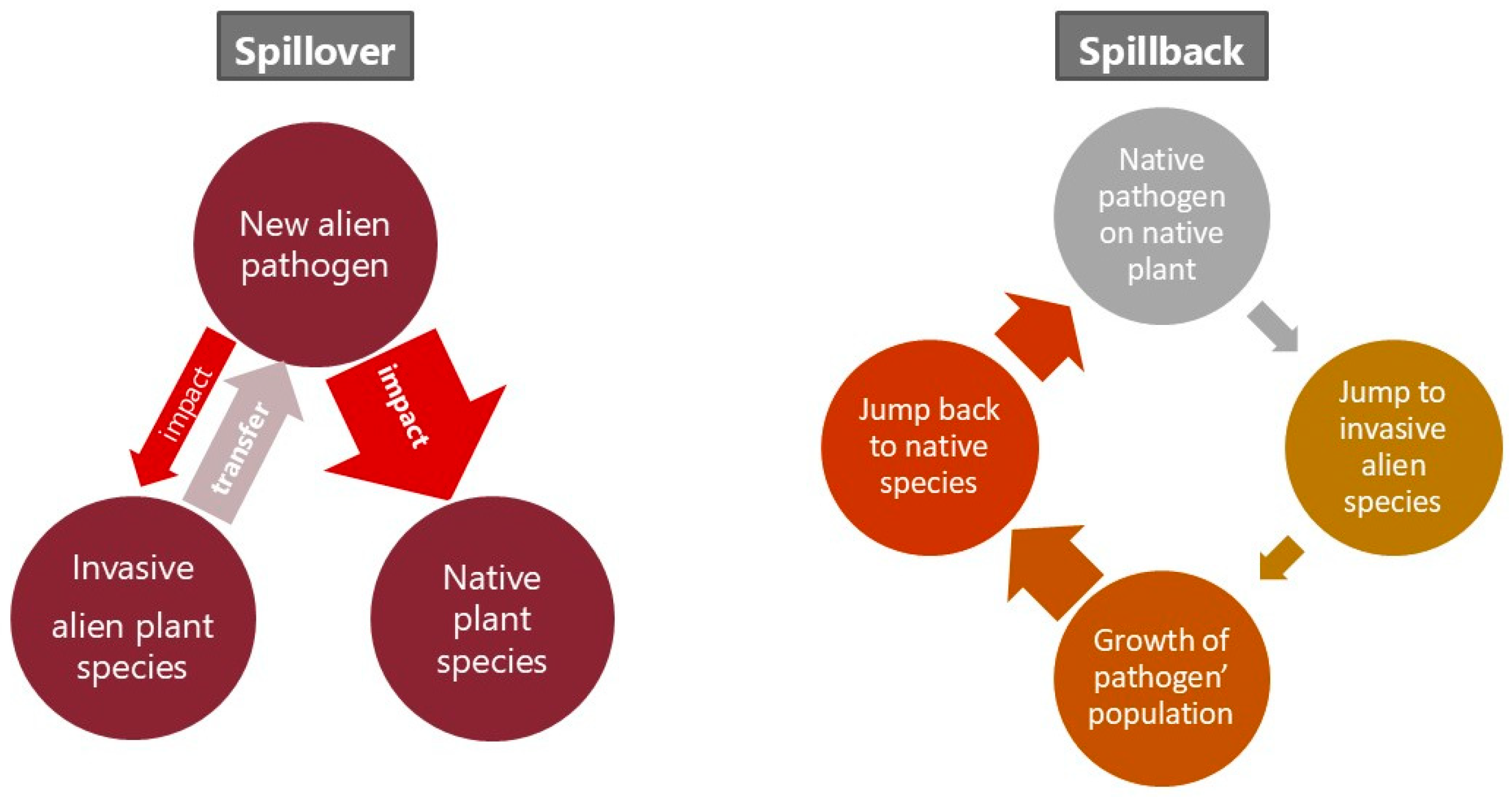 Forests 15 02214 g002