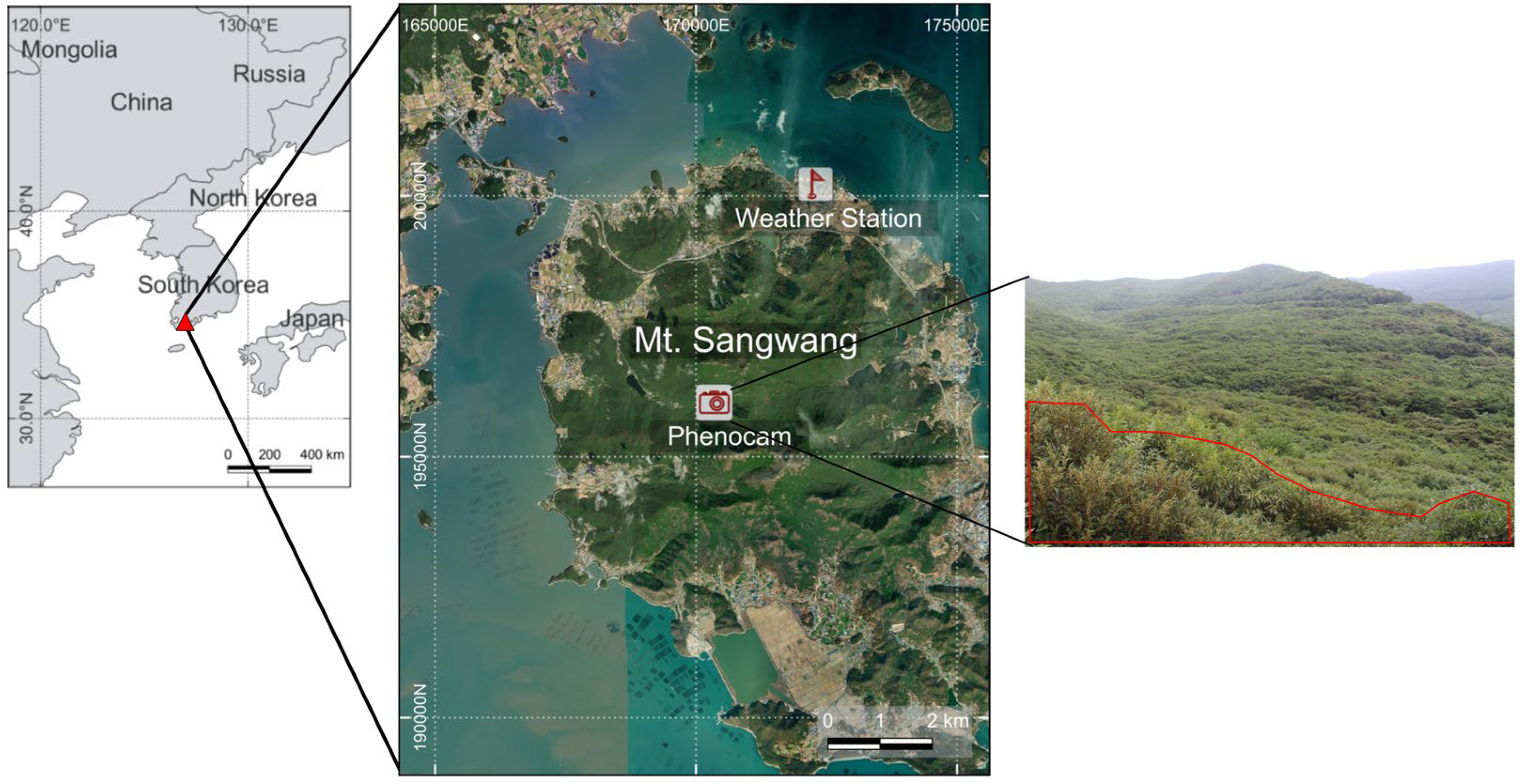 Forests 15 02216 g001