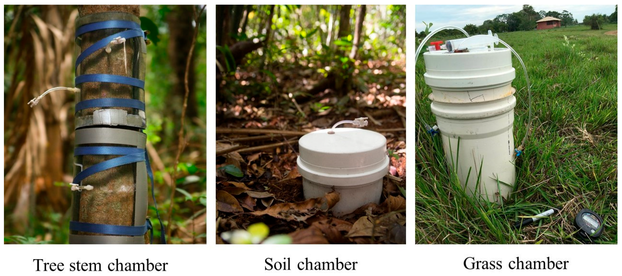 Forests 15 02224 g002