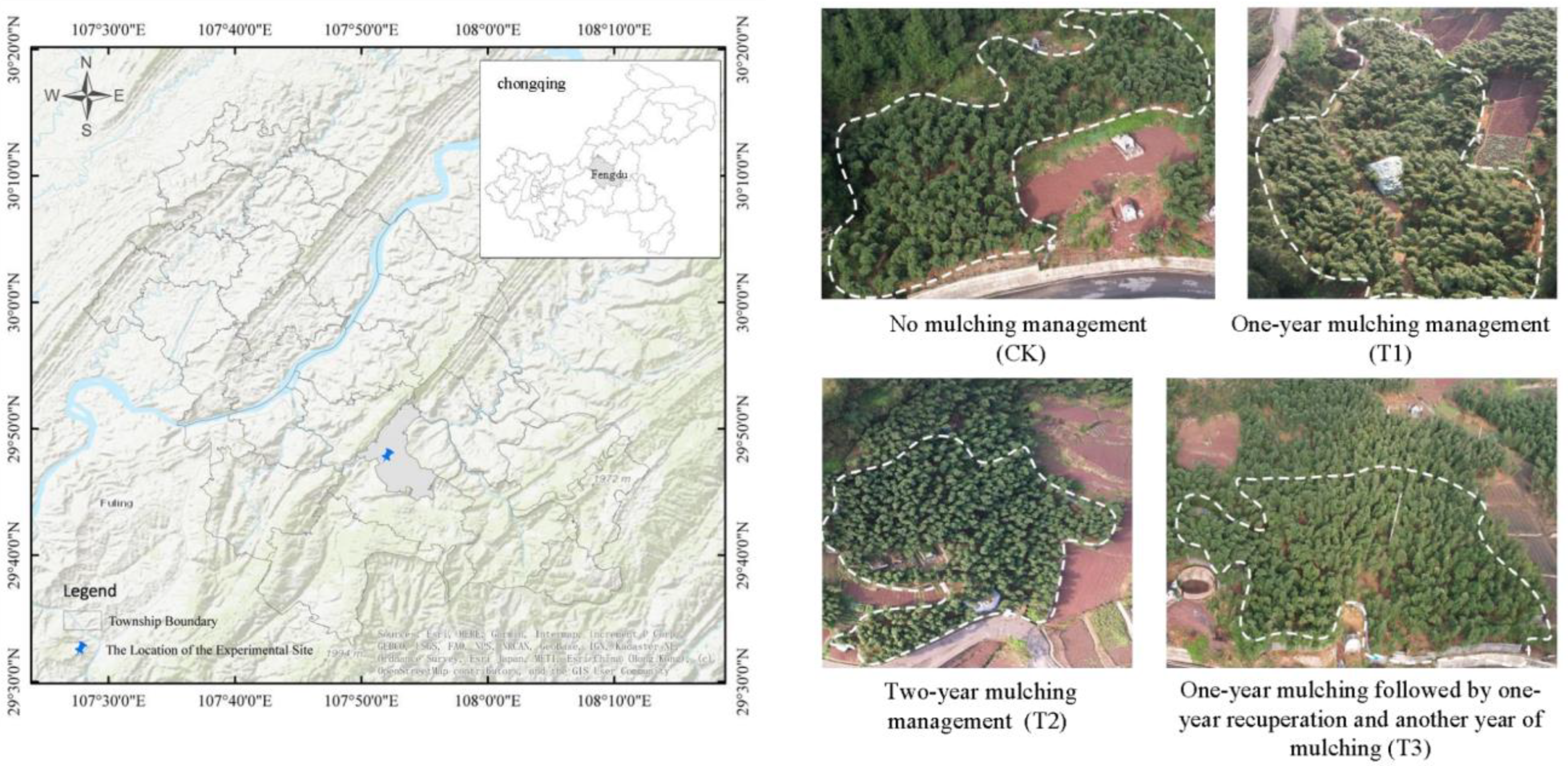 Forests 15 02253 g001