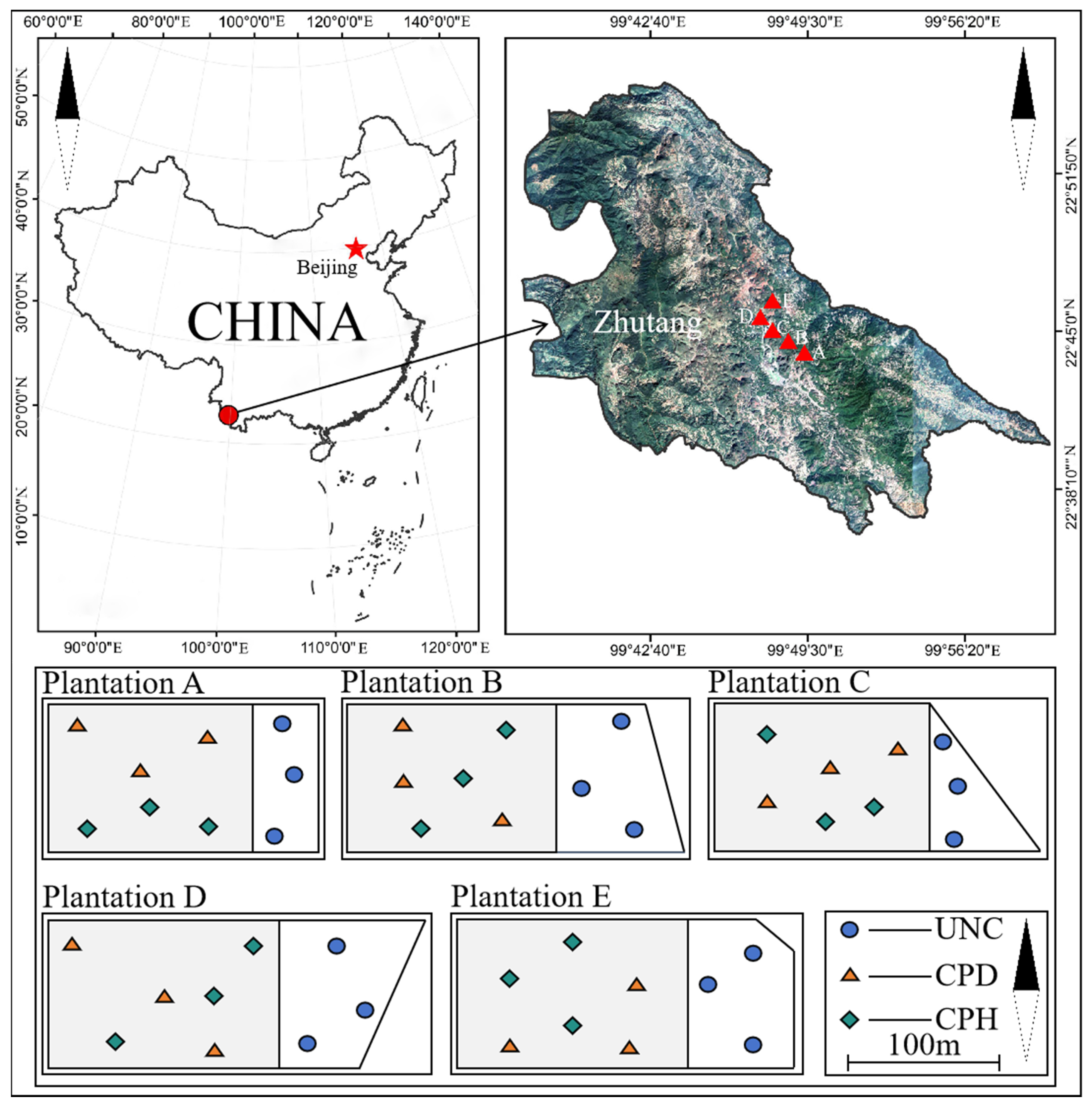 Forests 16 00002 g001