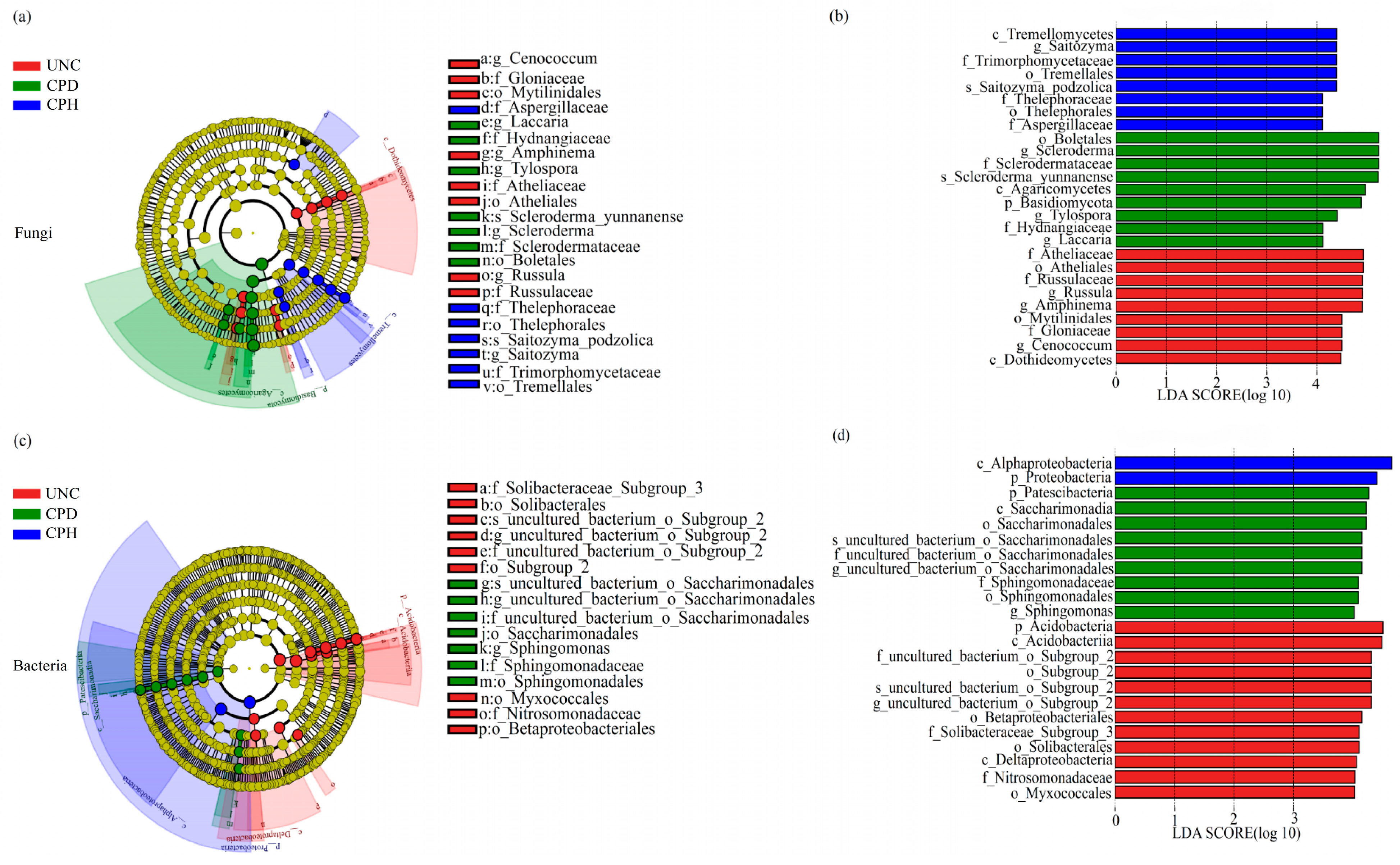 Forests 16 00002 g008