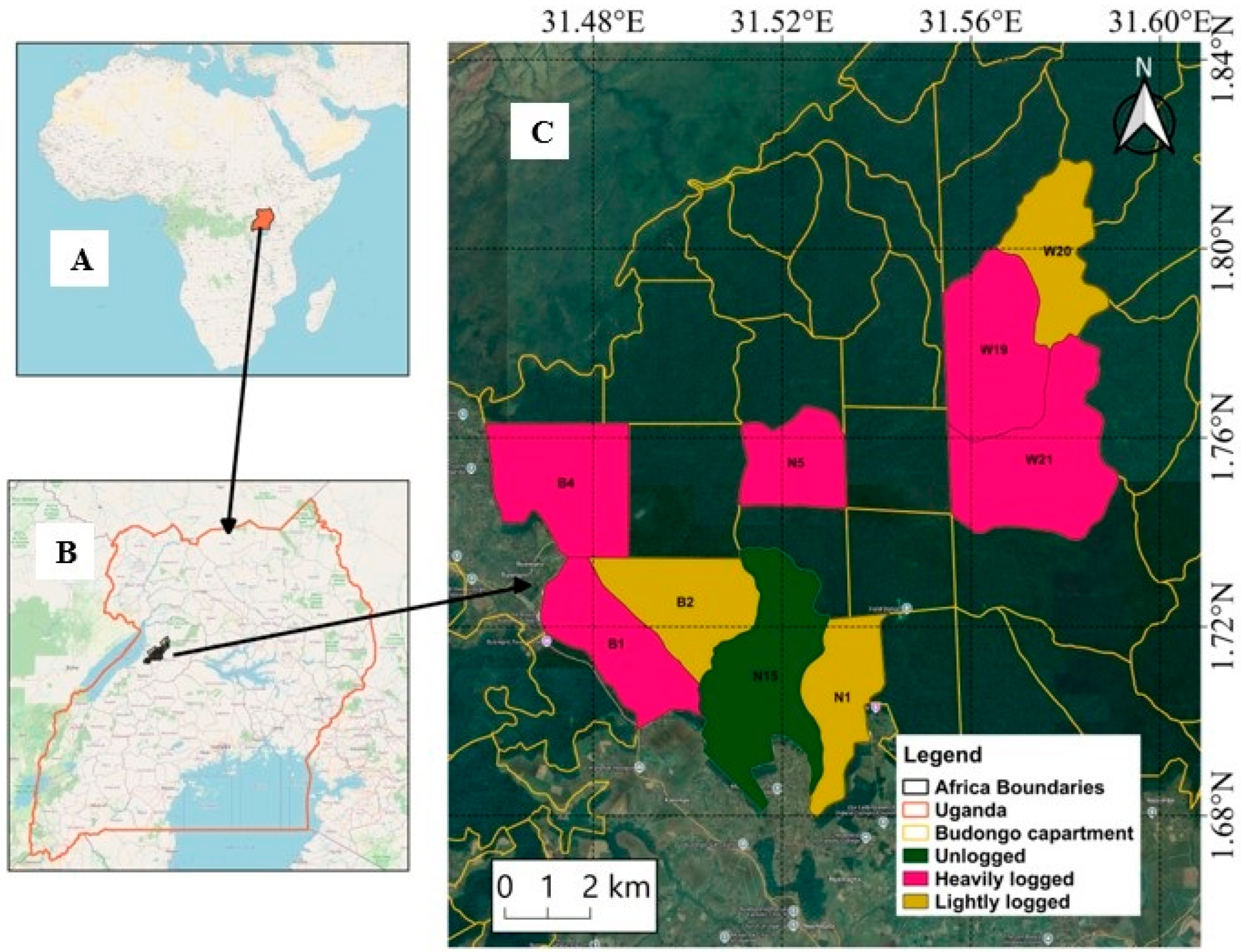 Forests 16 00006 g001 Forests 16 00006 g001