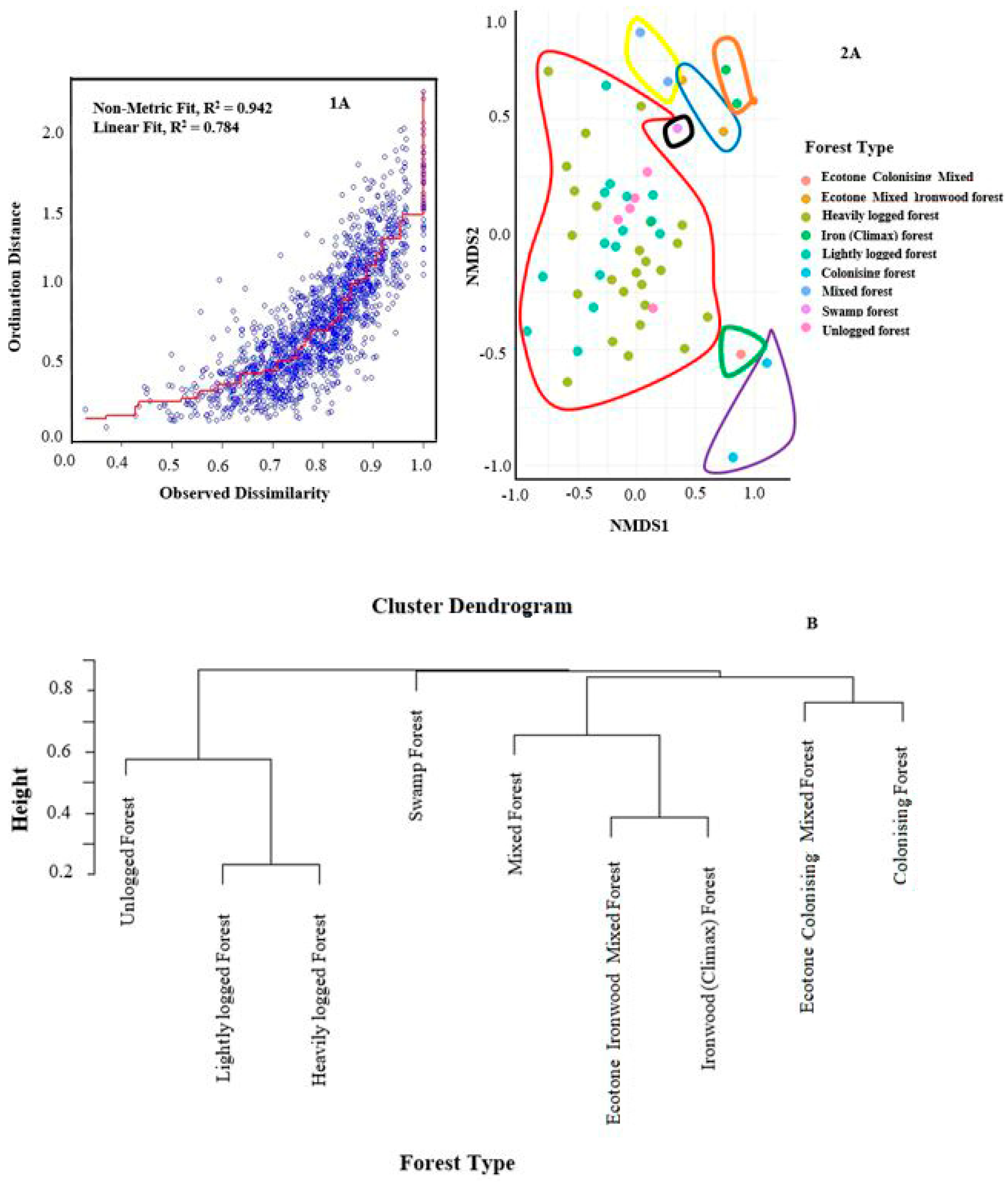 Forests 16 00006 g008 Forests 16 00006 g008