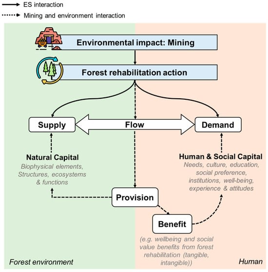 Forests 16 00007 g001