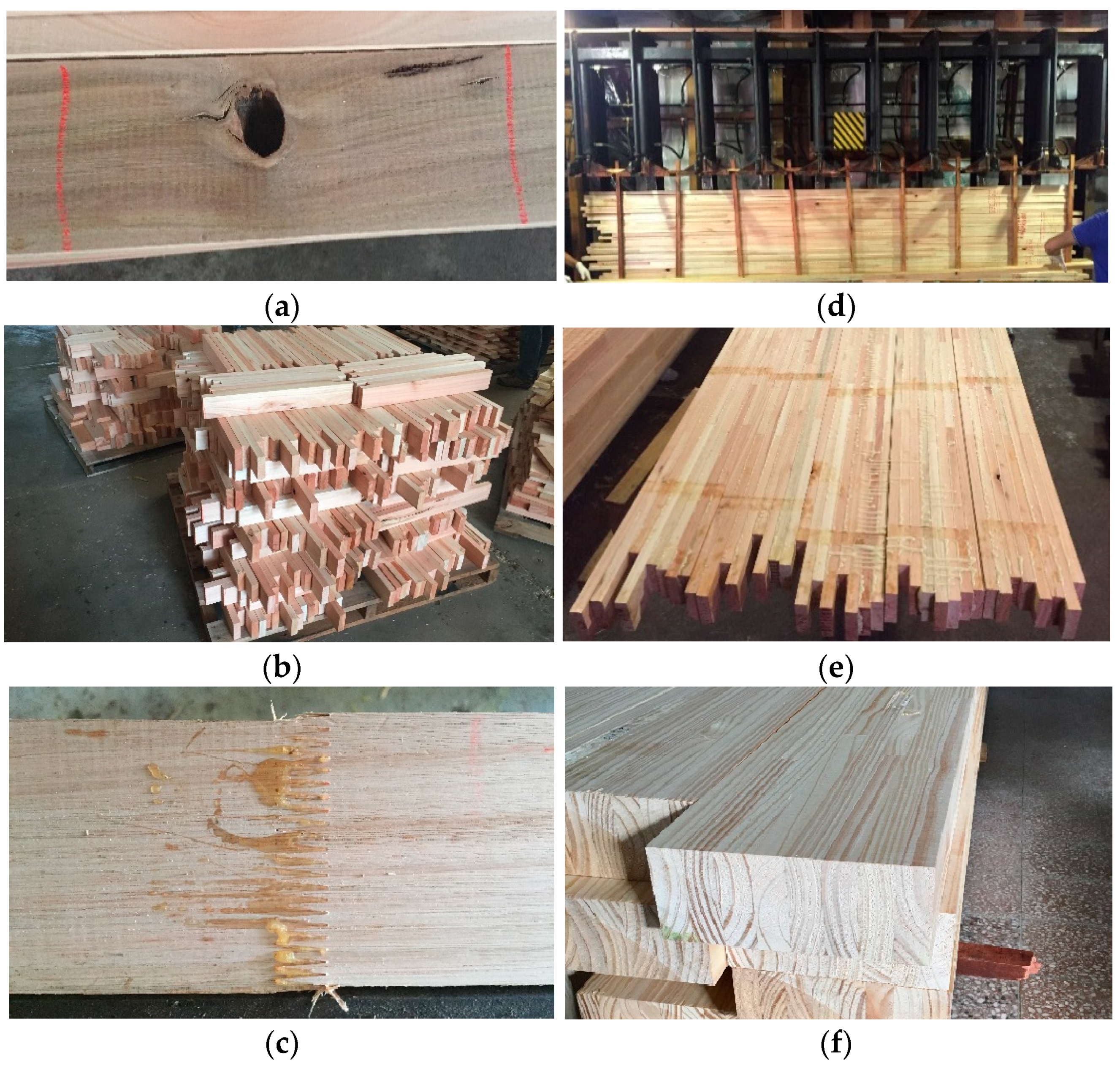 Forests 16 00008 g005