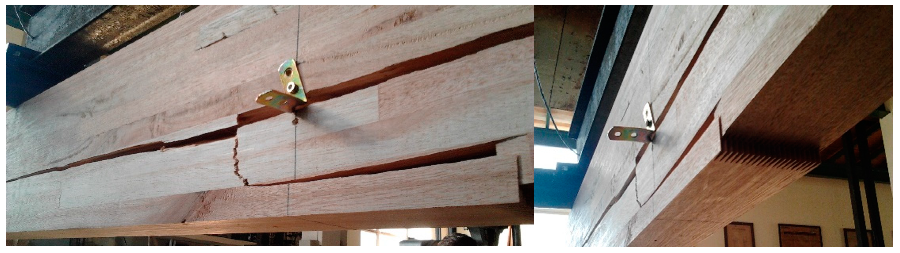 Forests 16 00008 g010