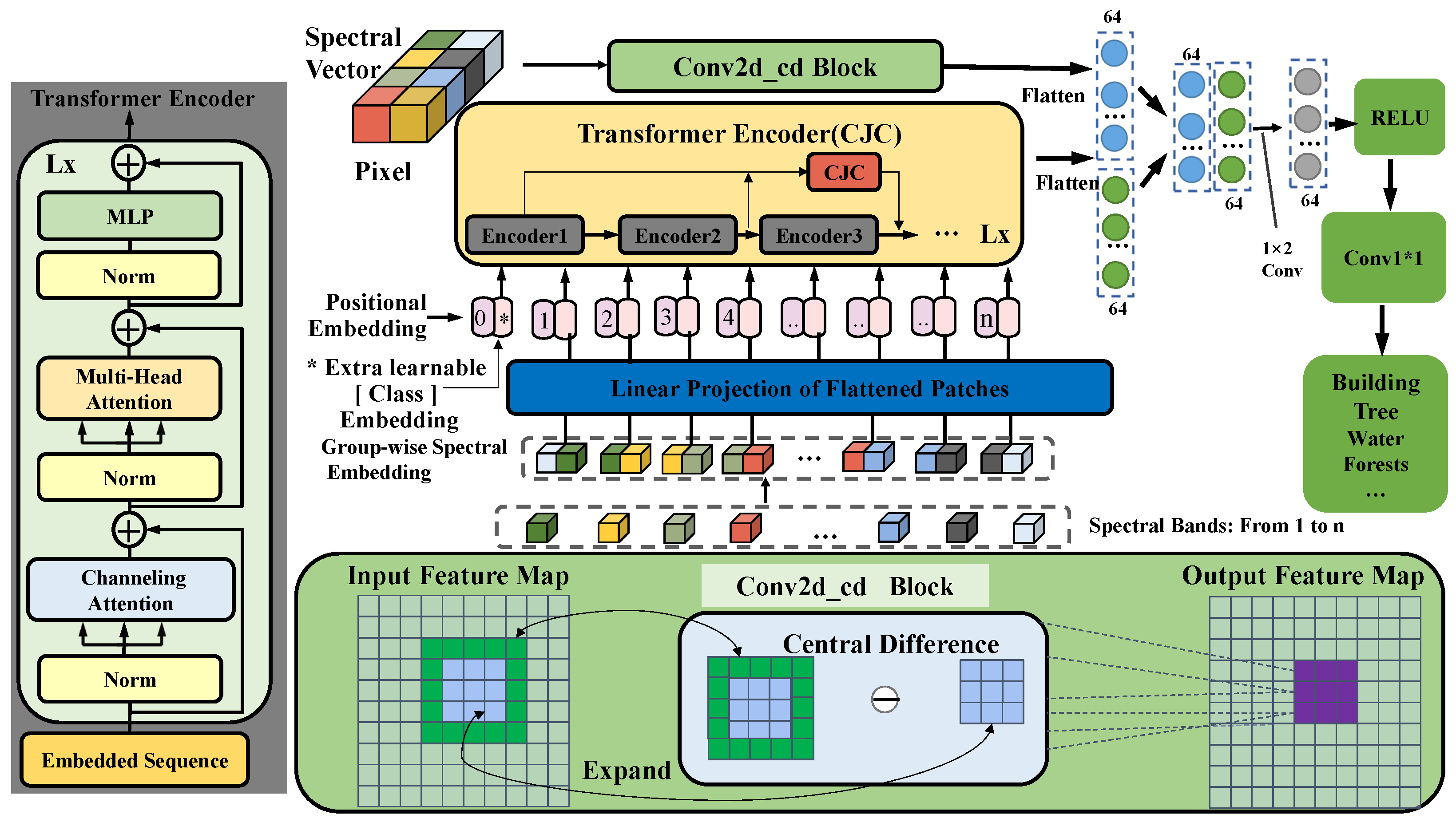 Forests 16 00021 g002