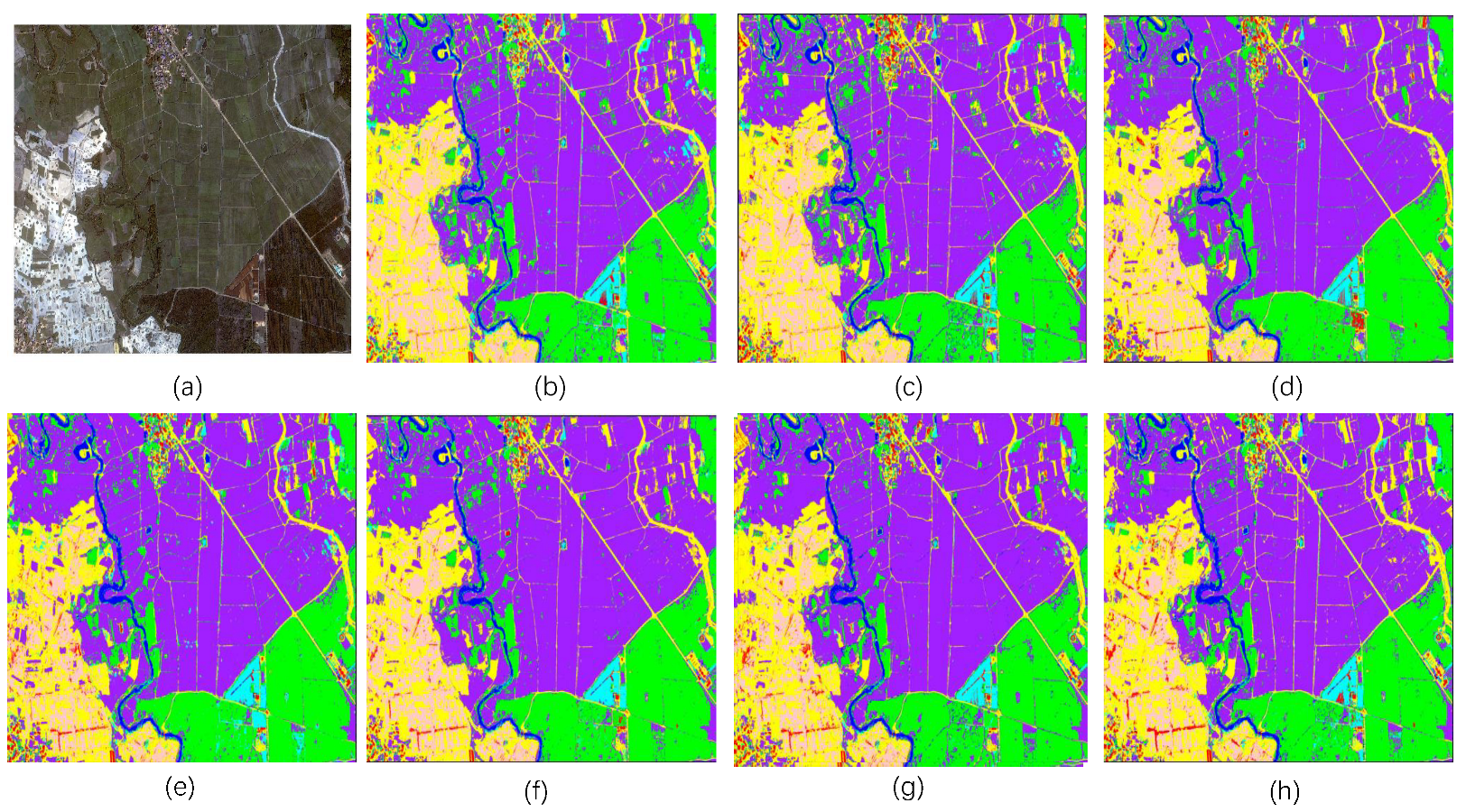 Forests 16 00021 g003