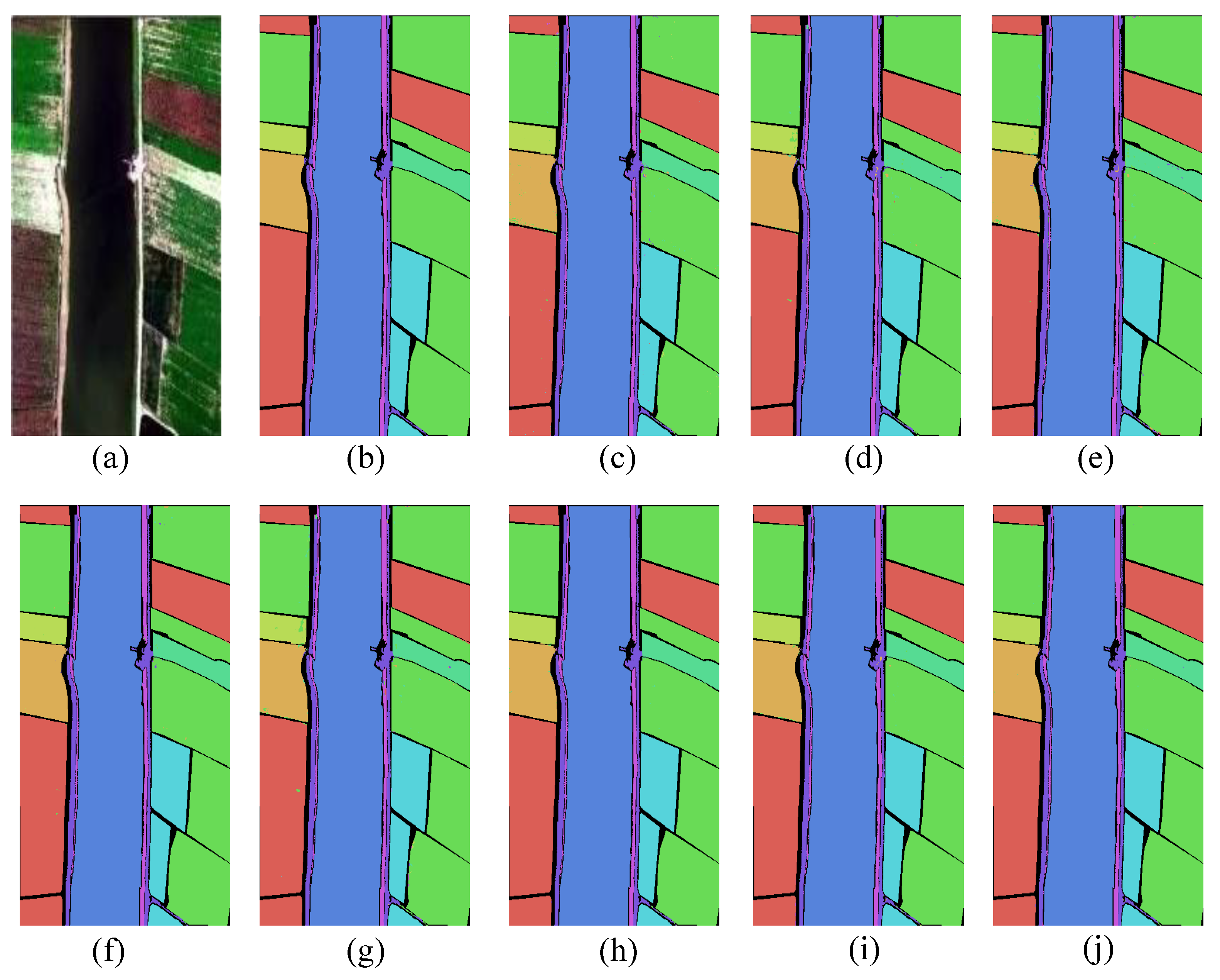 Forests 16 00021 g007