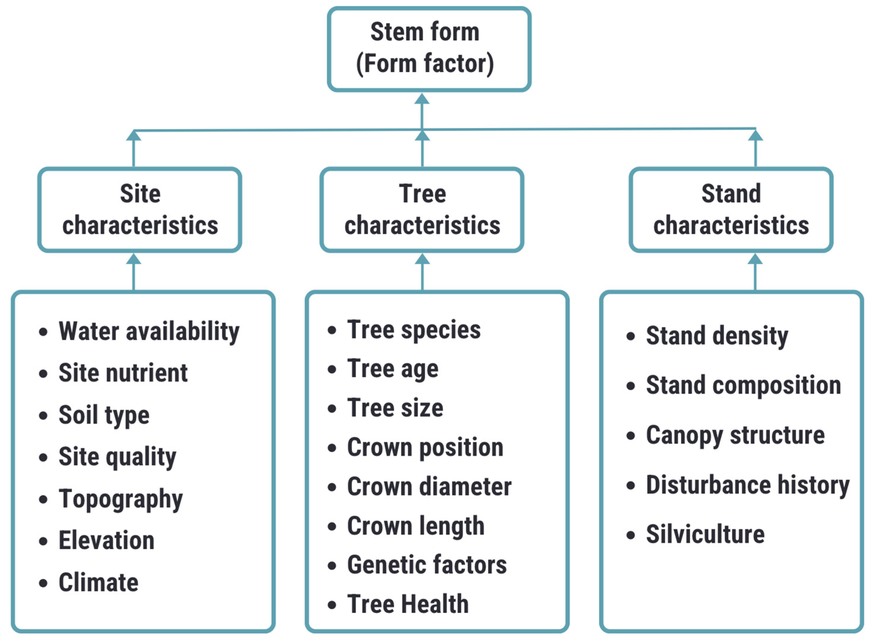 Forests 16 00029 g002 Forests 16 00029 g002
