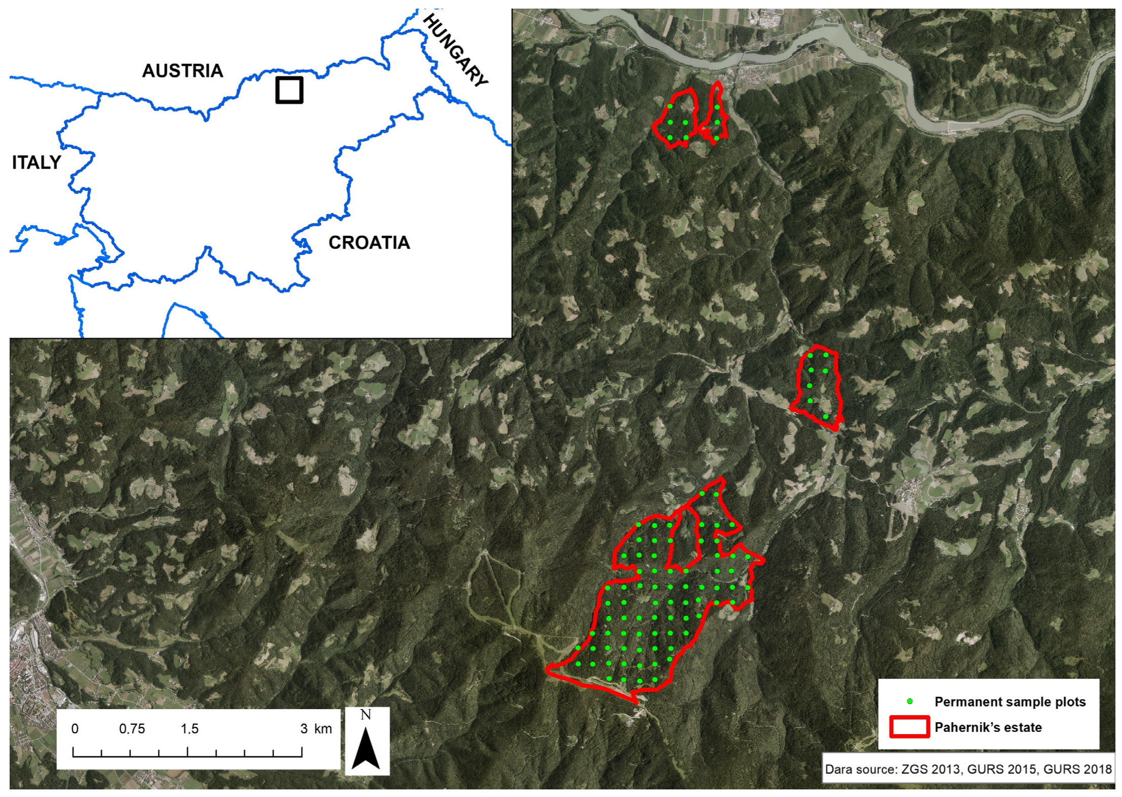 Forests 16 00035 g001