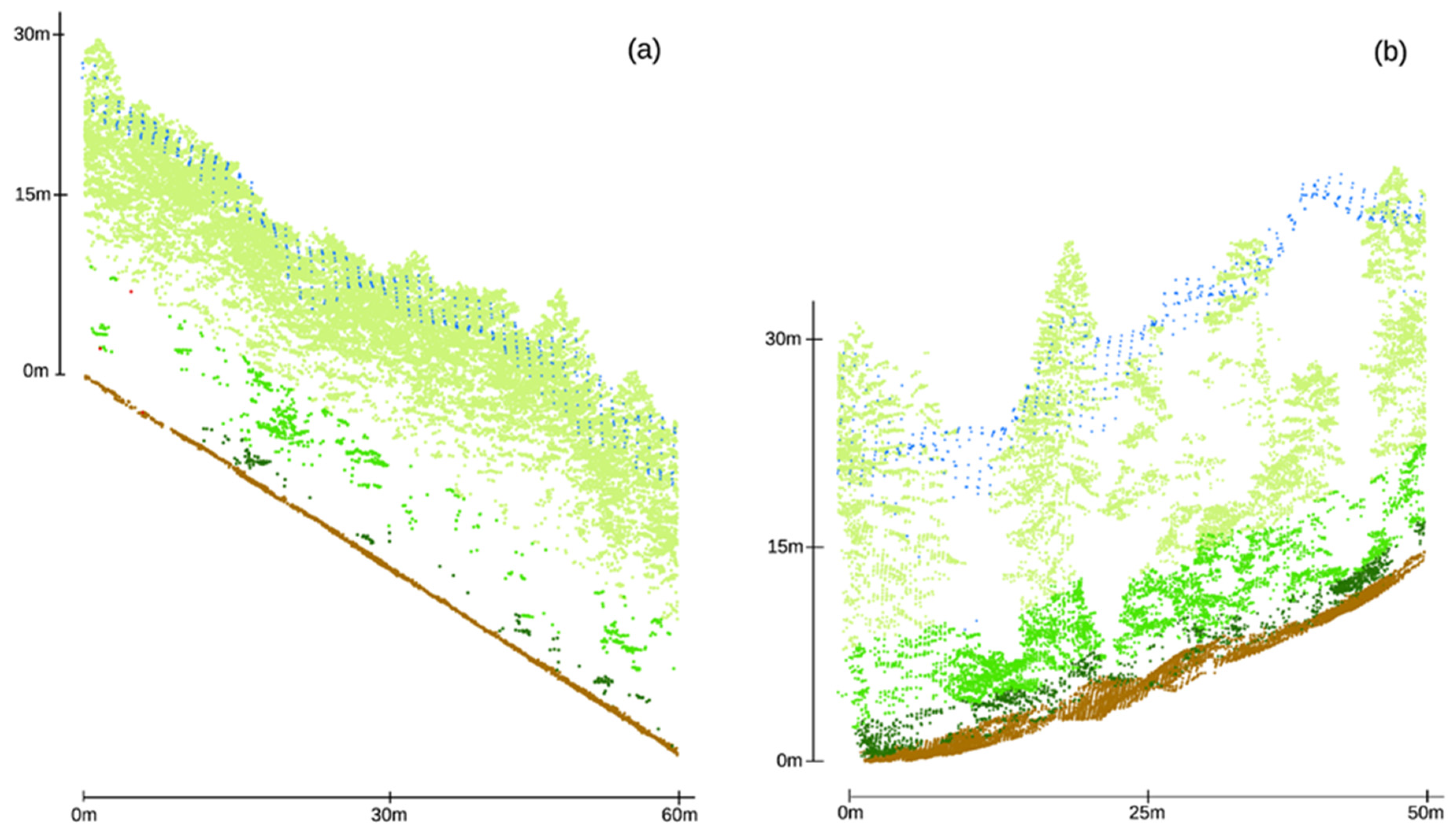 Forests 16 00035 g004