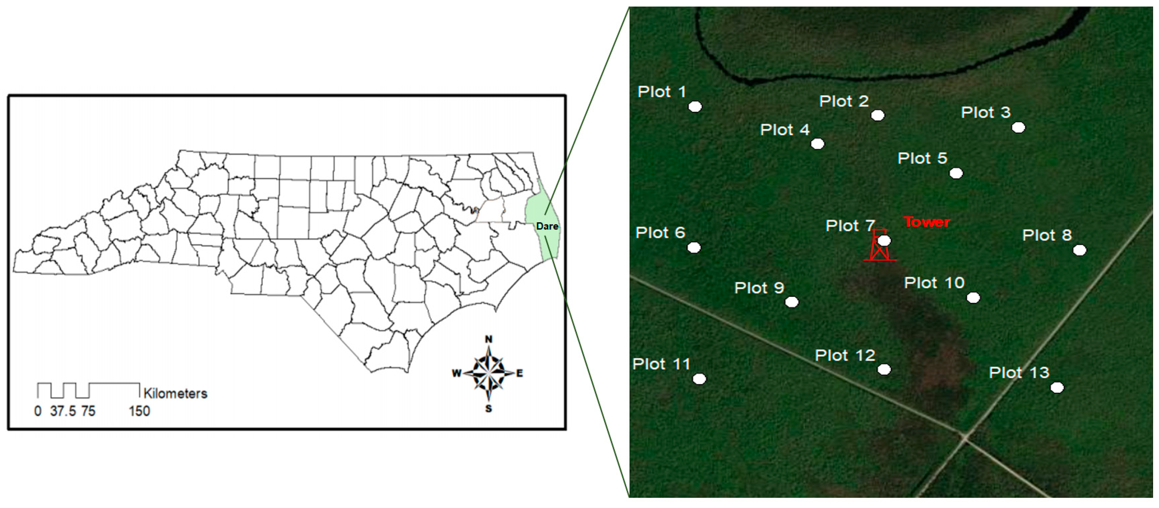 Forests 16 00039 g001