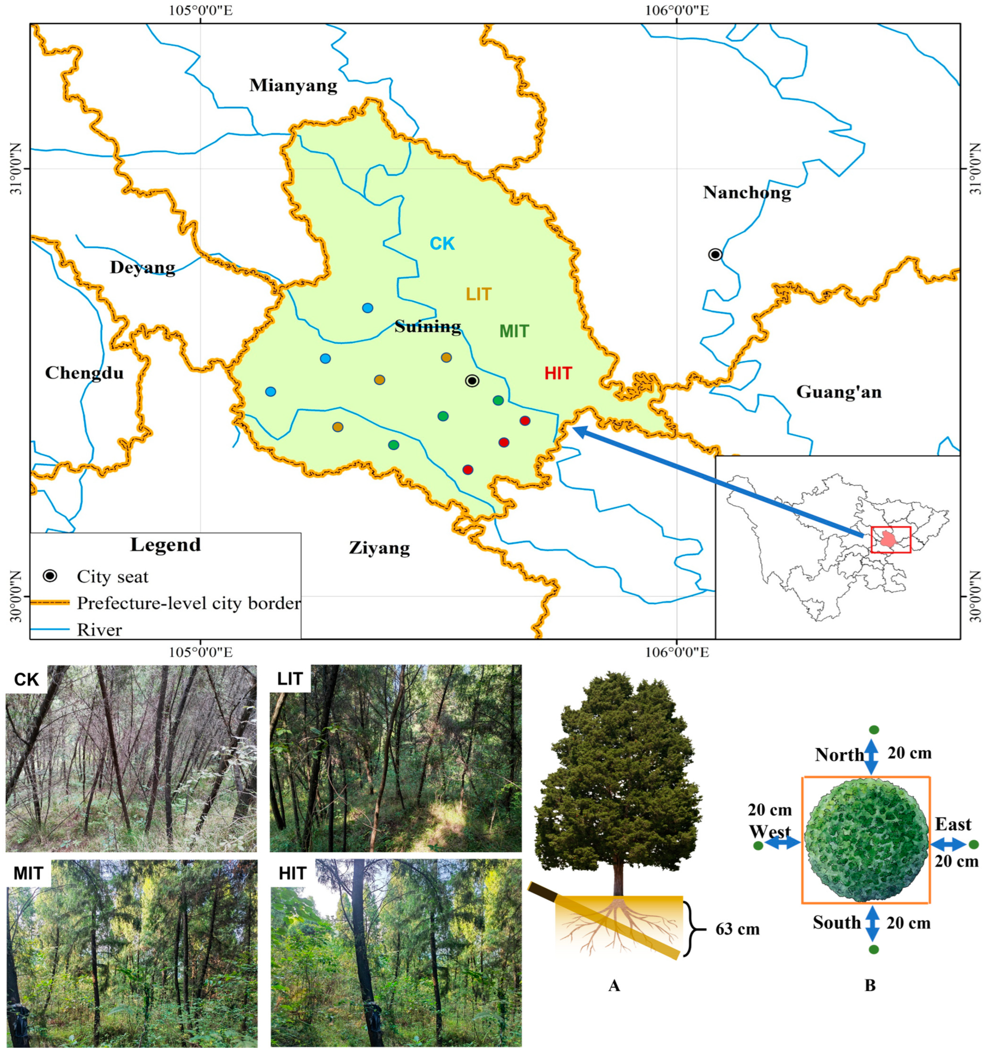 Forests 16 00046 g001