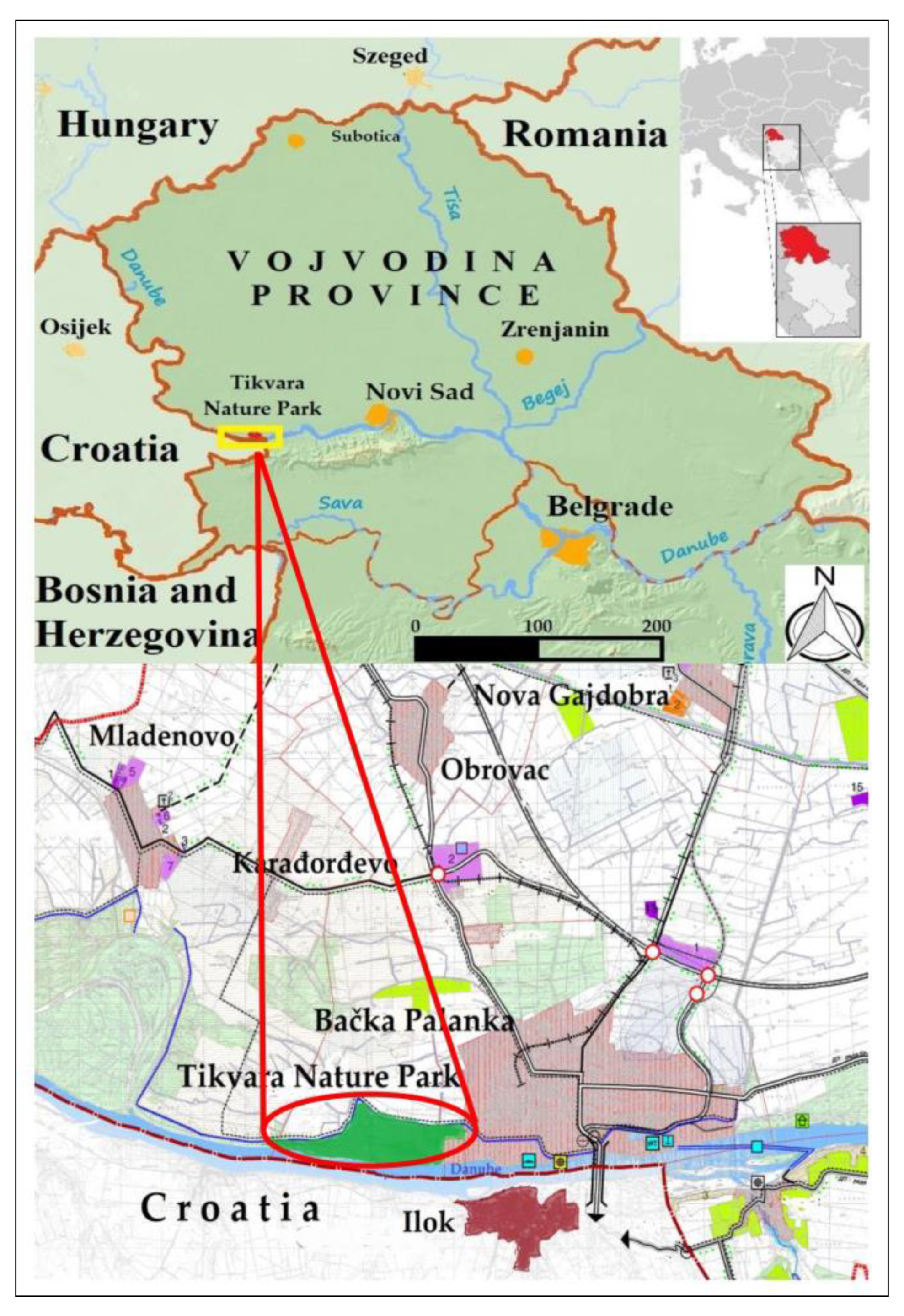 Forests 16 00049 g001 Forests 16 00049 g001