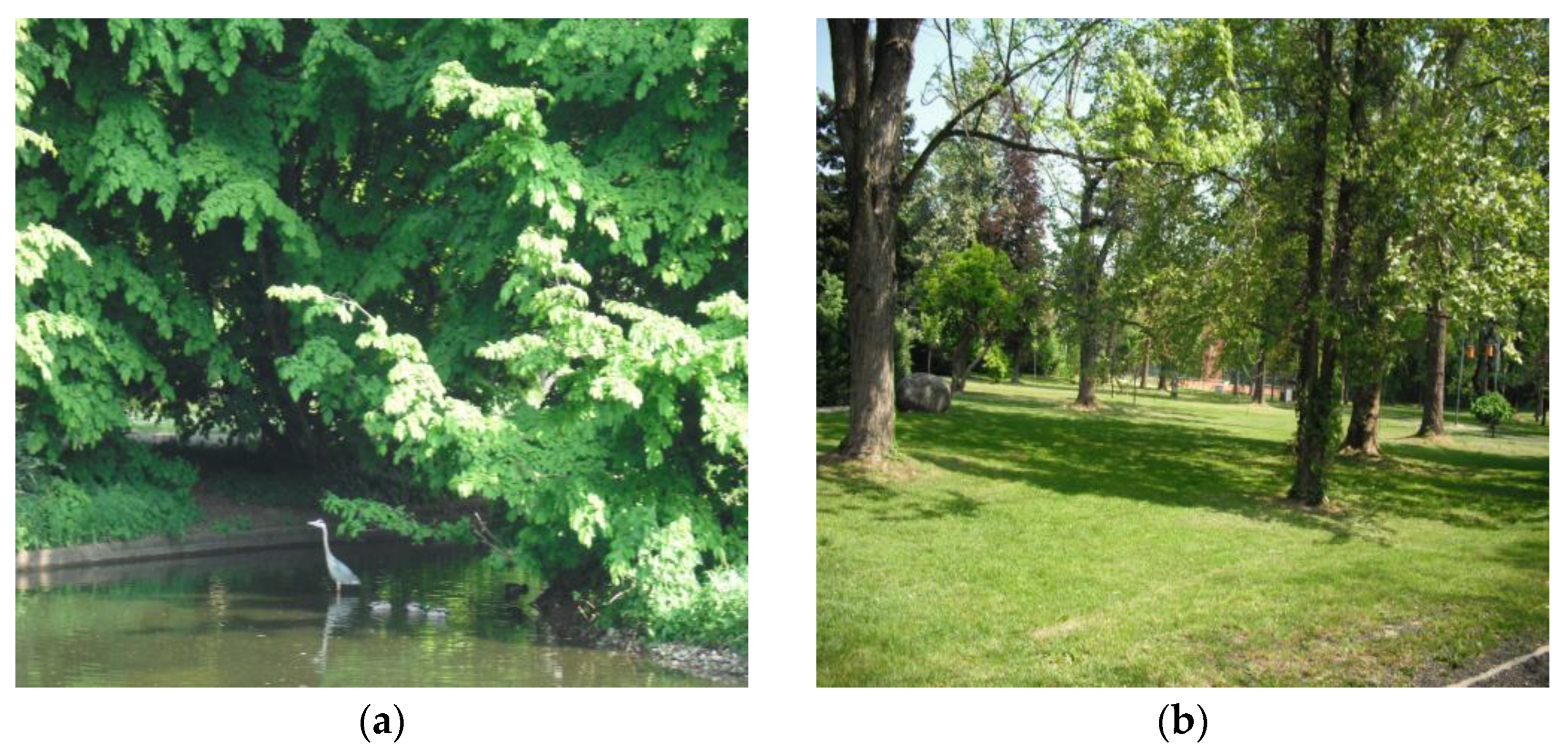 Forests 16 00049 g002 Forests 16 00049 g002