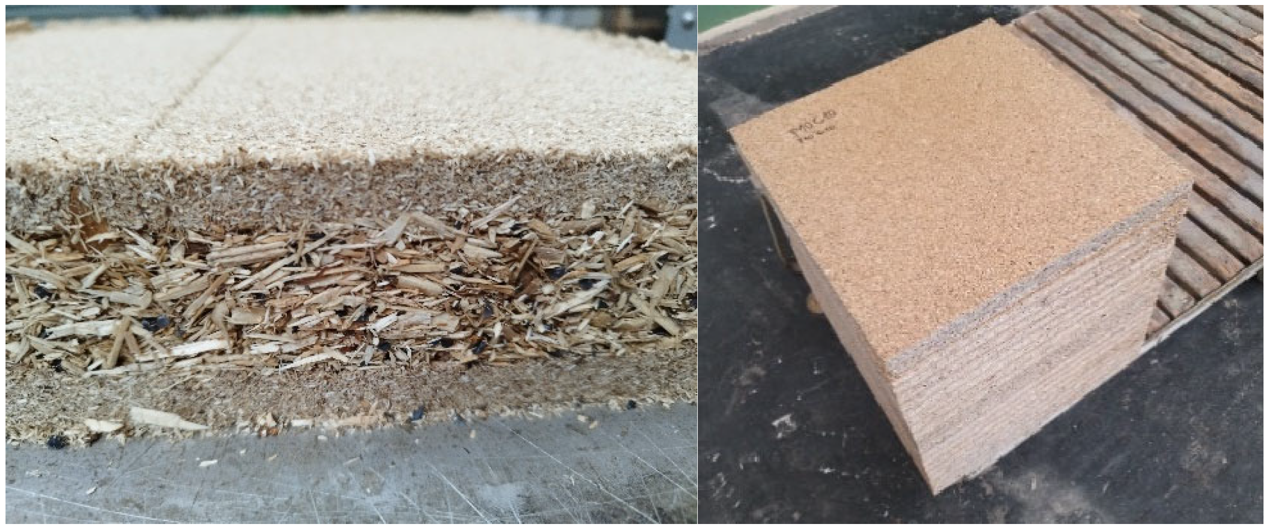 Forests 16 00052 g001