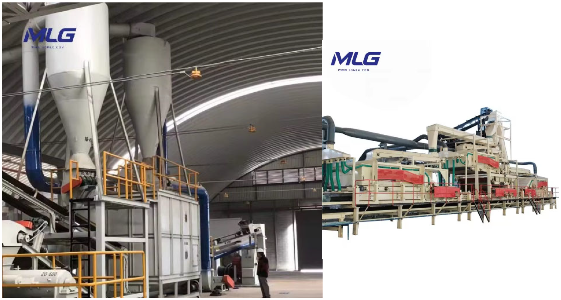 Forests 16 00052 g002