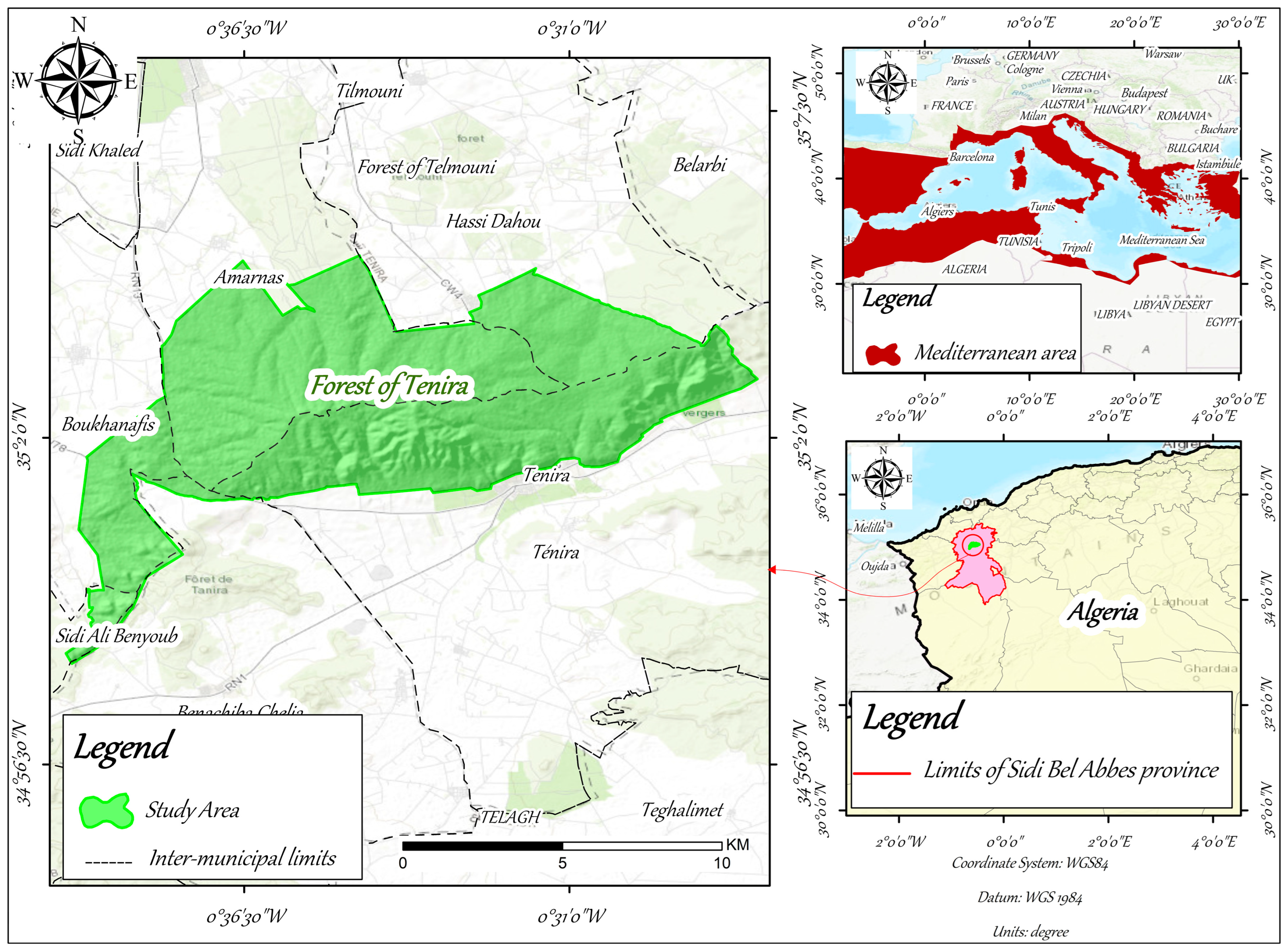 Forests 16 00053 g001 Forests 16 00053 g001