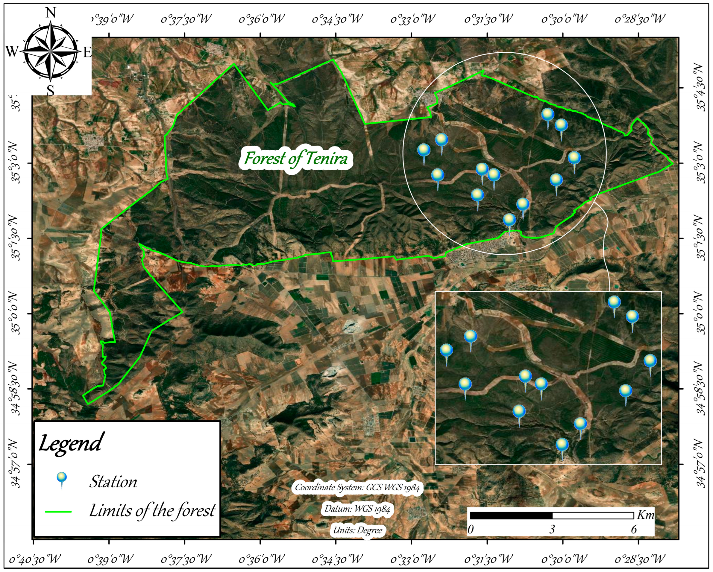 Forests 16 00053 g004 Forests 16 00053 g004