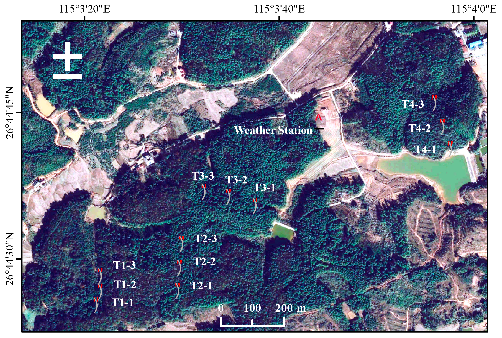 Forests 16 00108 g001 Forests 16 00108 g001