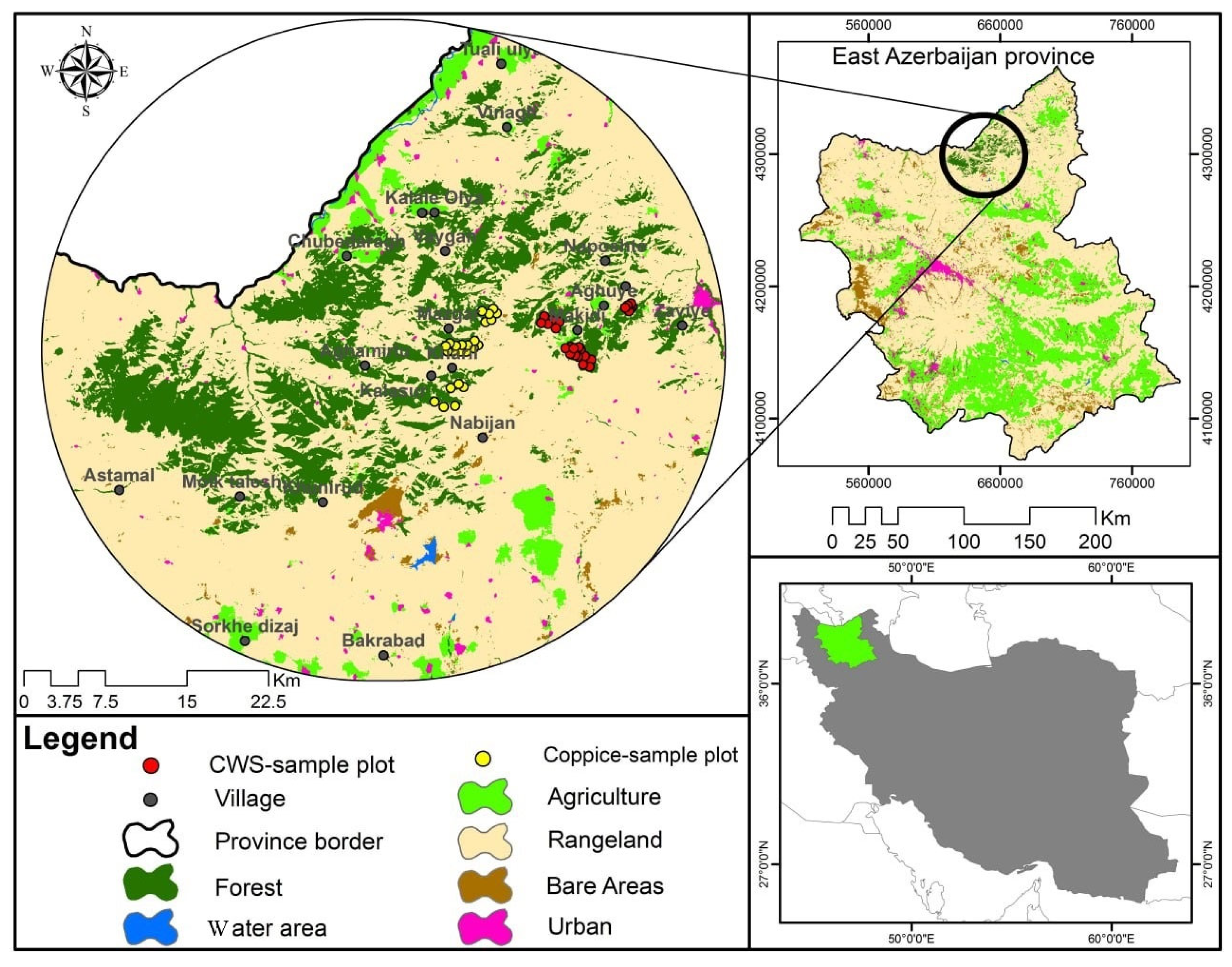 Forests 16 00116 g001
