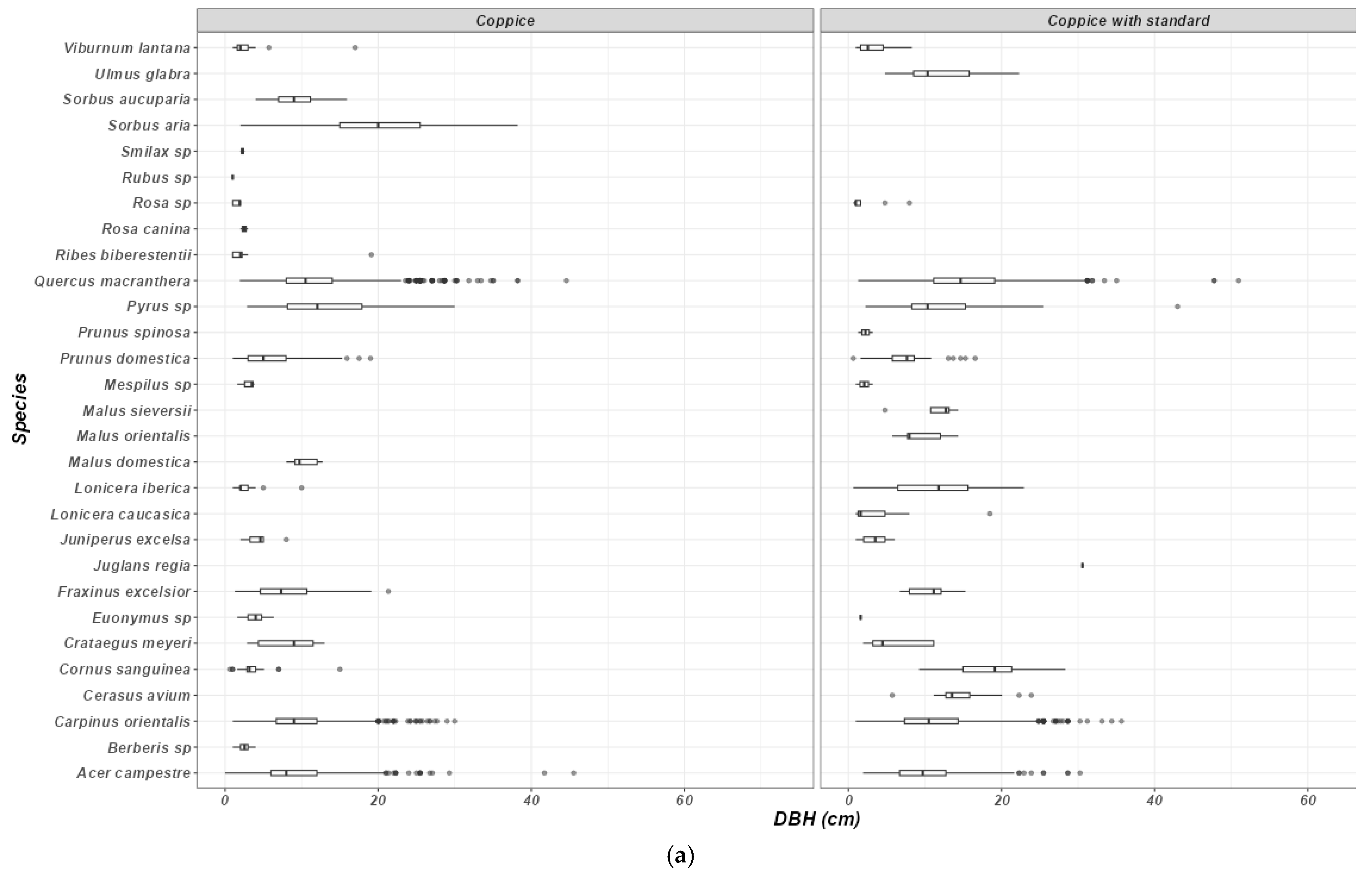 Forests 16 00116 g003a