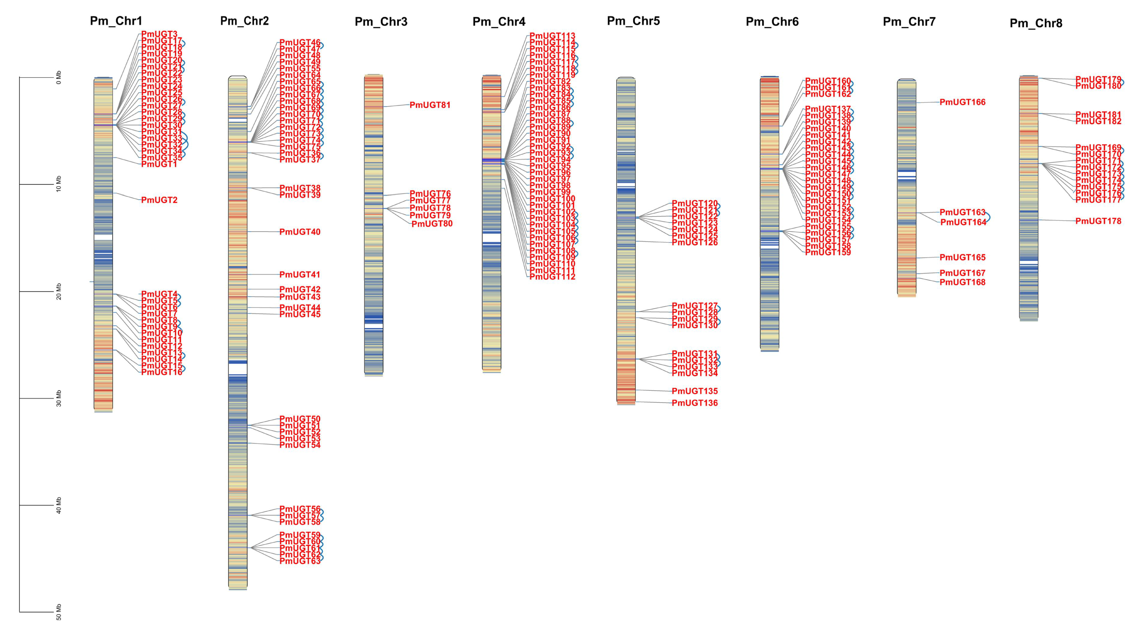 Forests 16 00131 g002