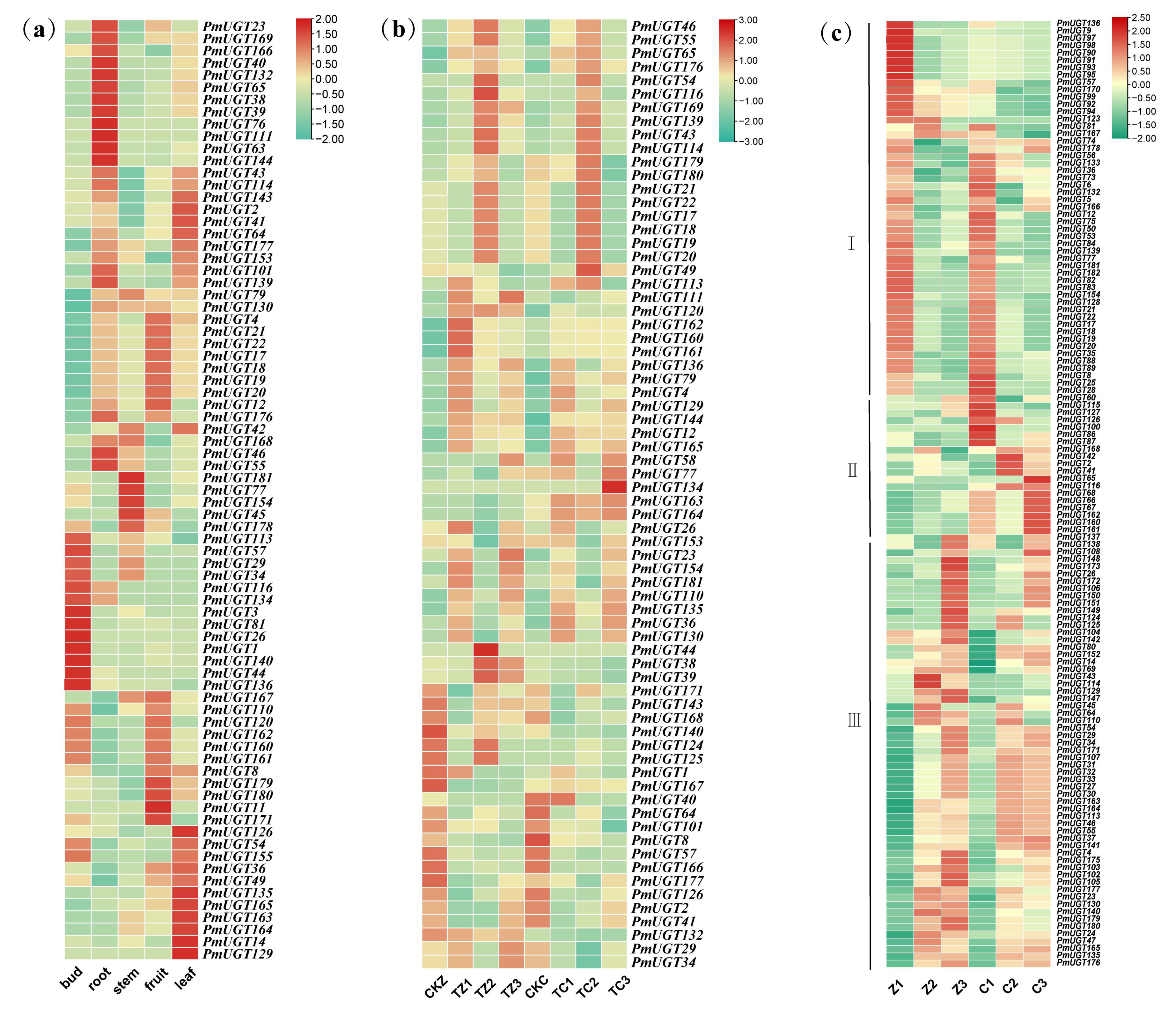 Forests 16 00131 g006