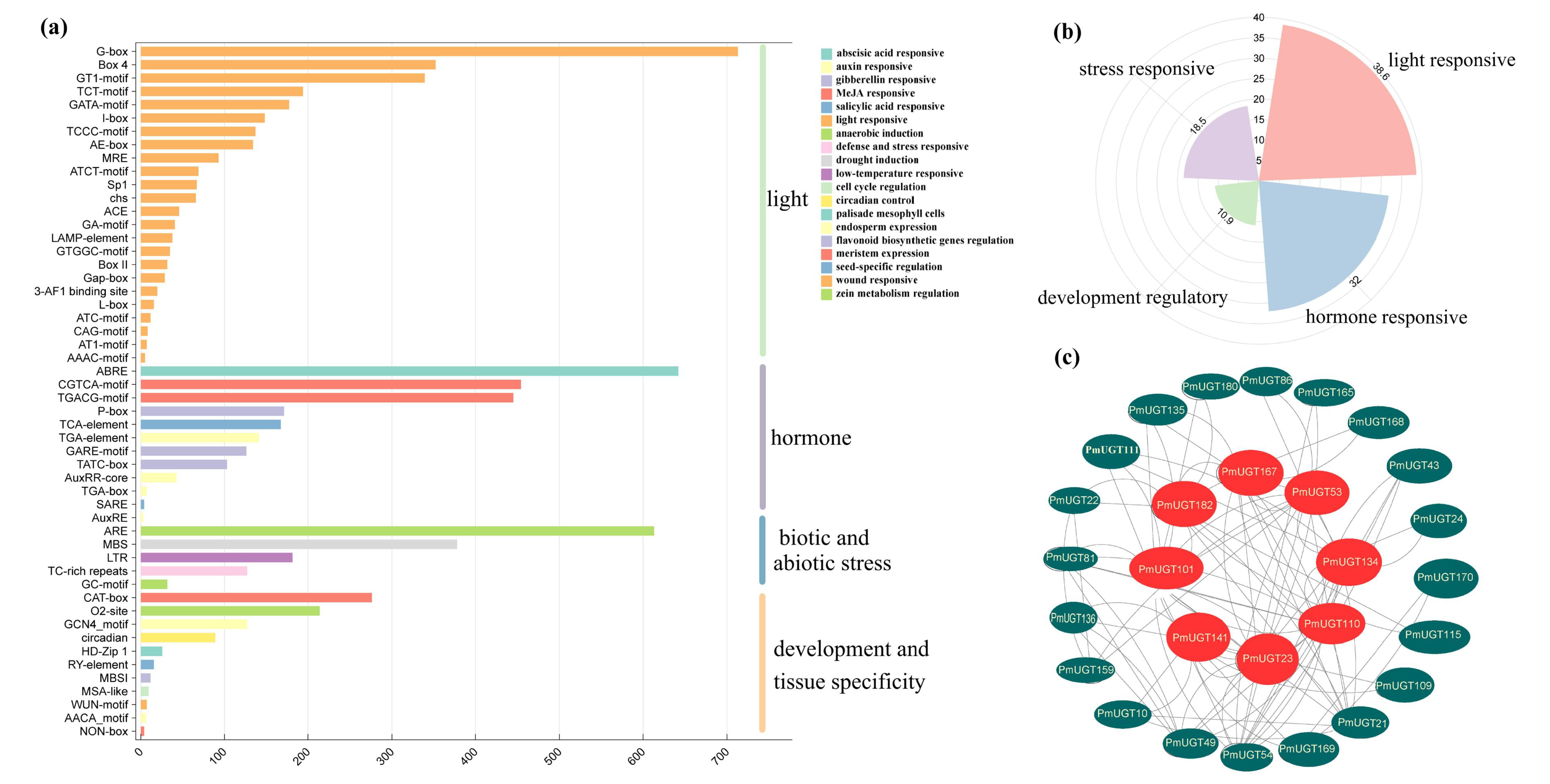 Forests 16 00131 g008