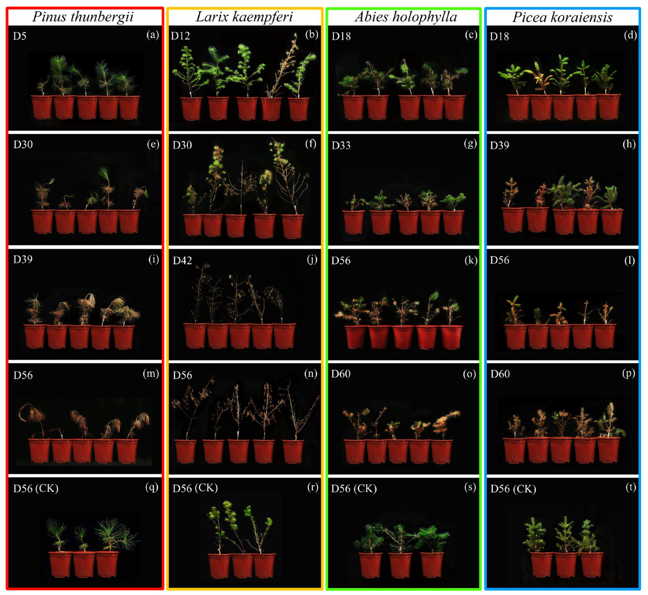 Forests 16 00137 g005