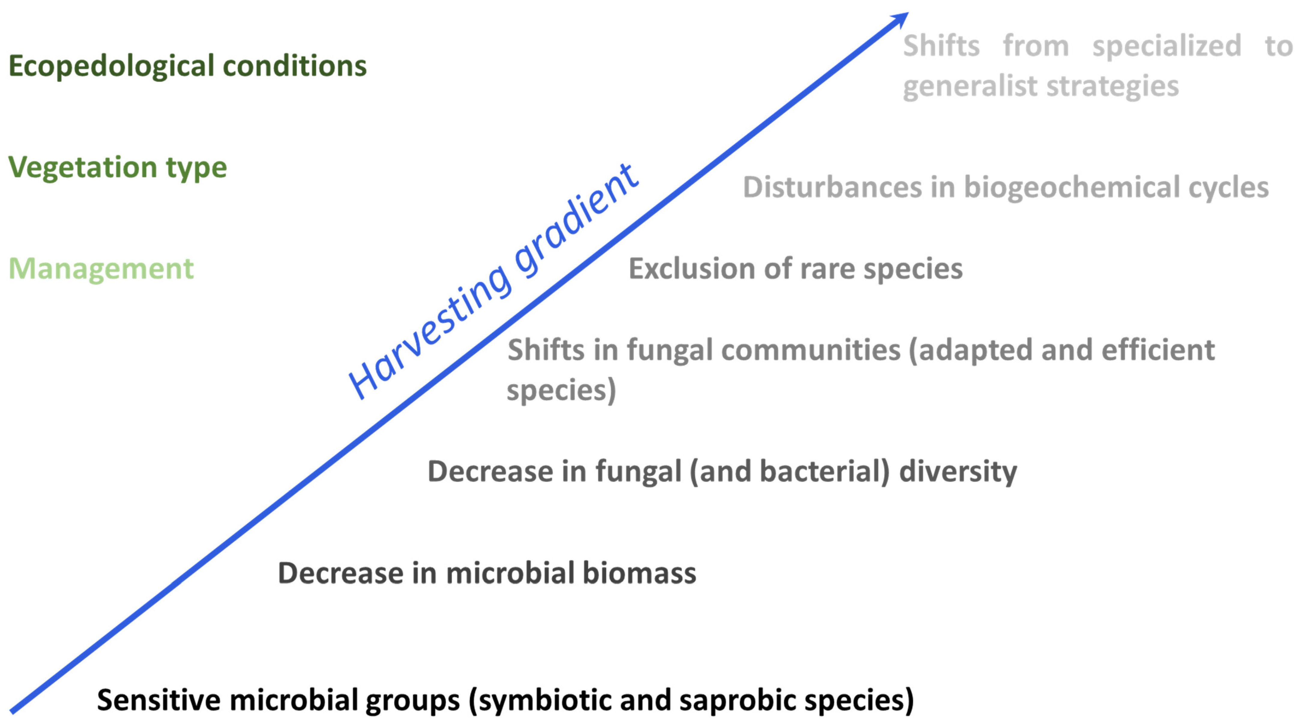 Forests 16 00148 g004