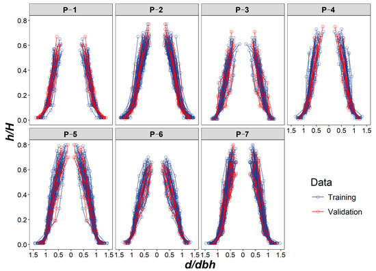 Forests 16 00164 g002