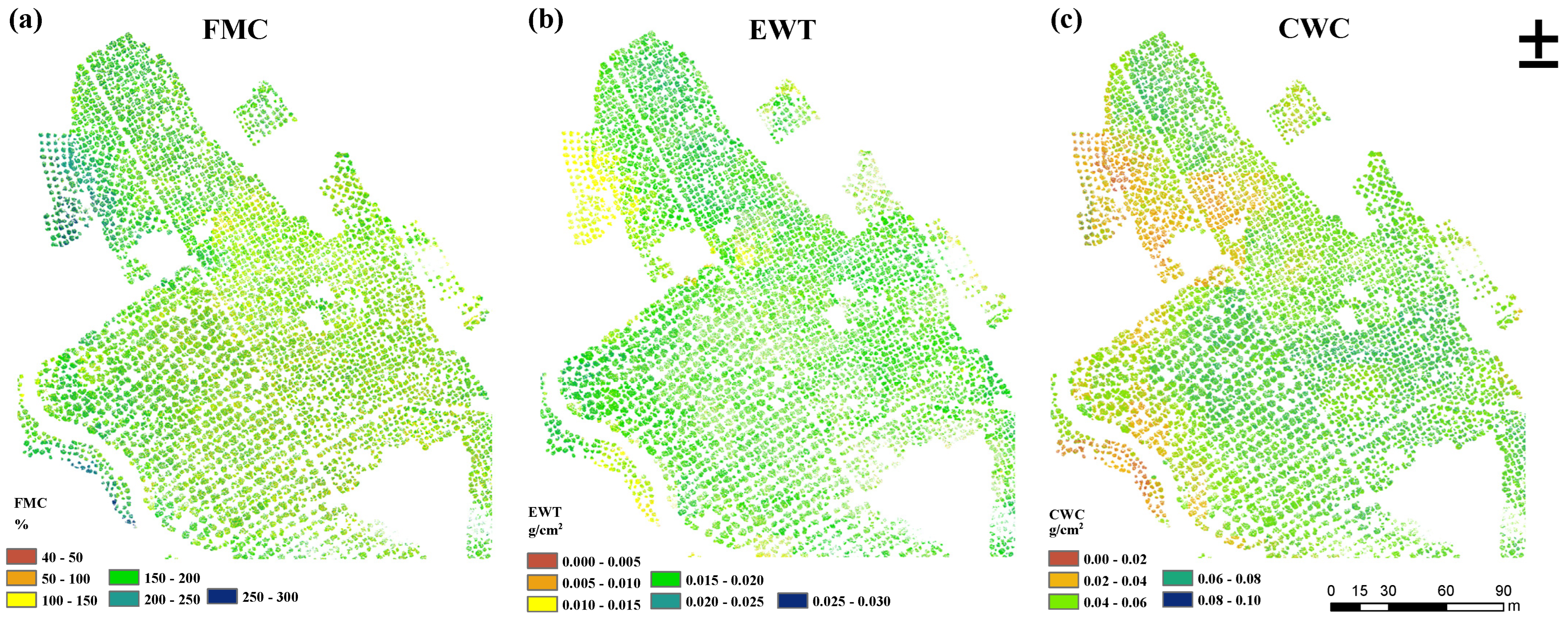 Forests 16 00167 g006