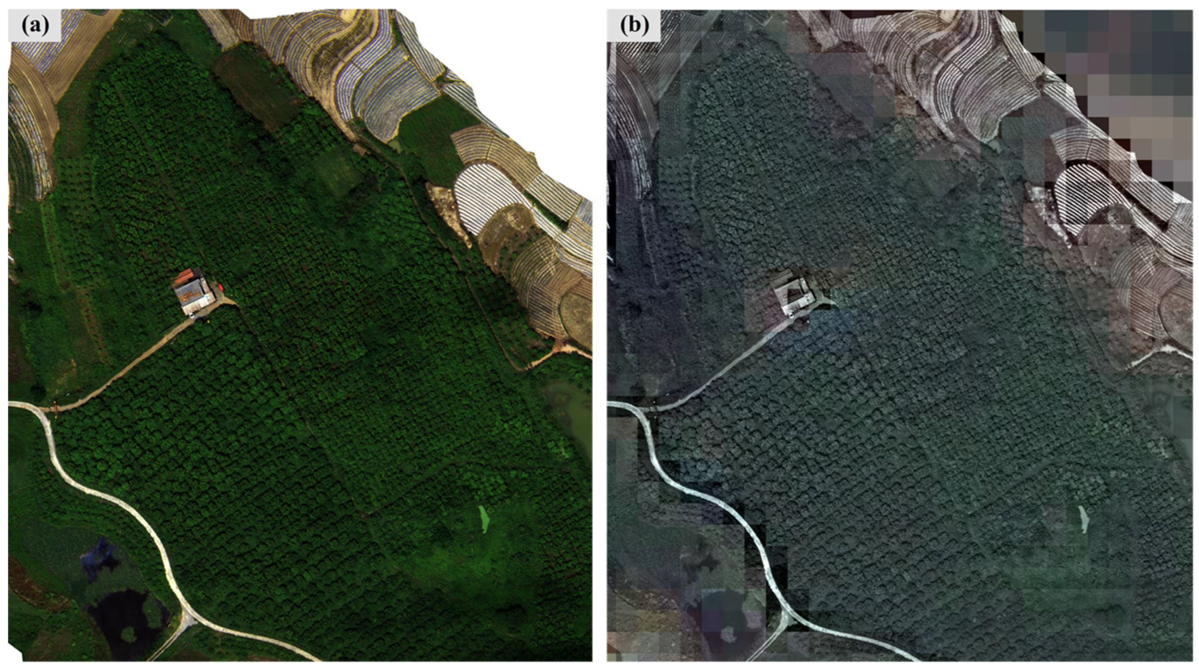 Forests 16 00167 g007