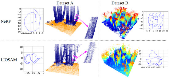 Forests 16 00173 g004