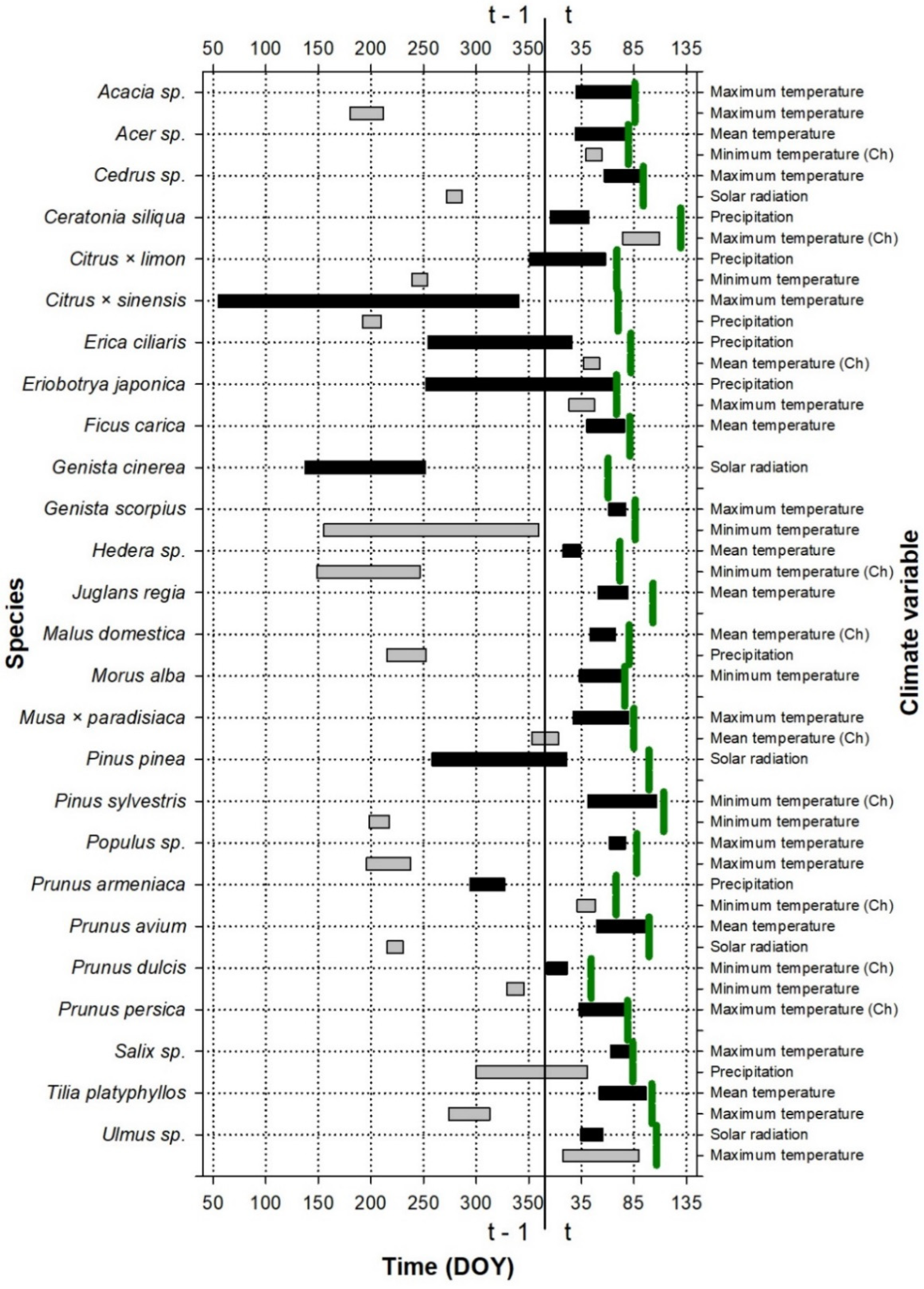 Forests 16 00175 g001